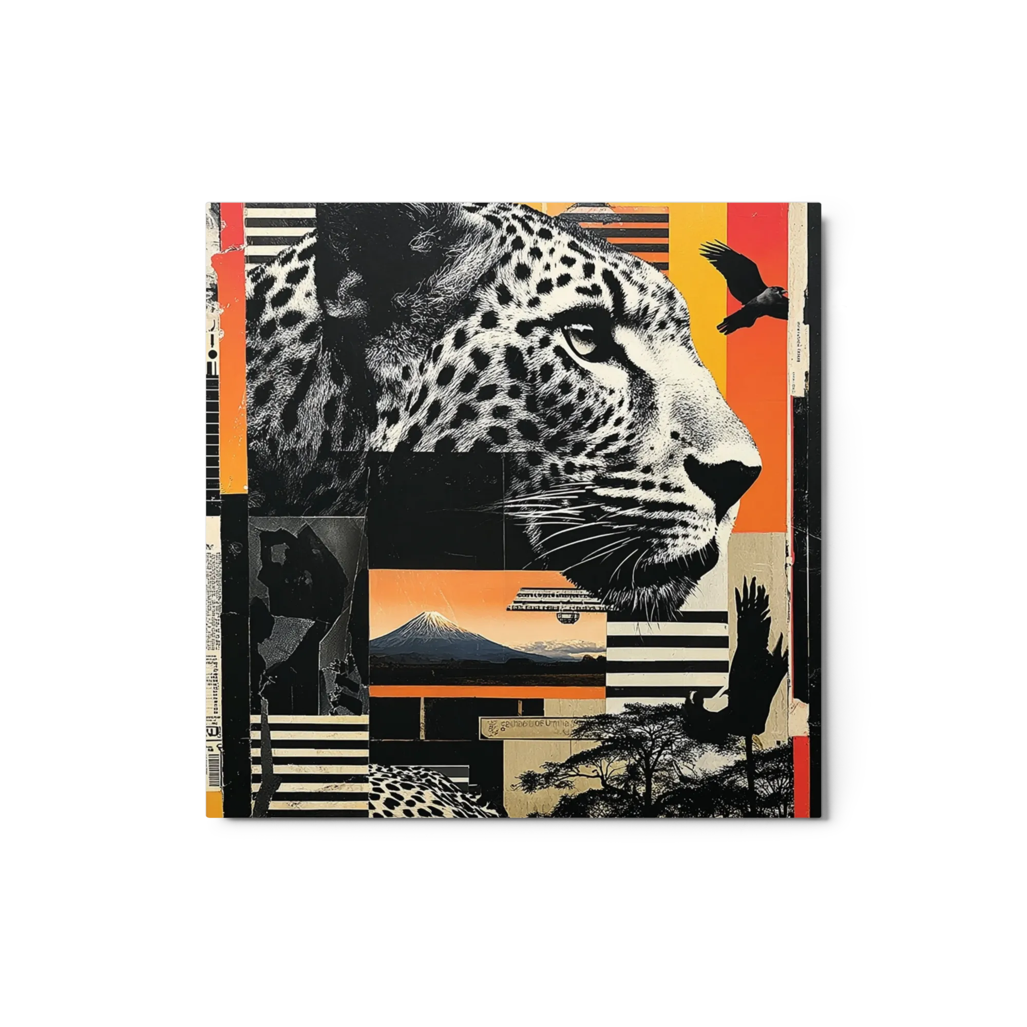Wild Horizons Collage