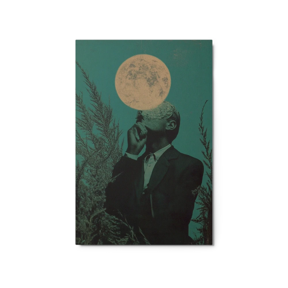 Lunar Silhouette | Art Print