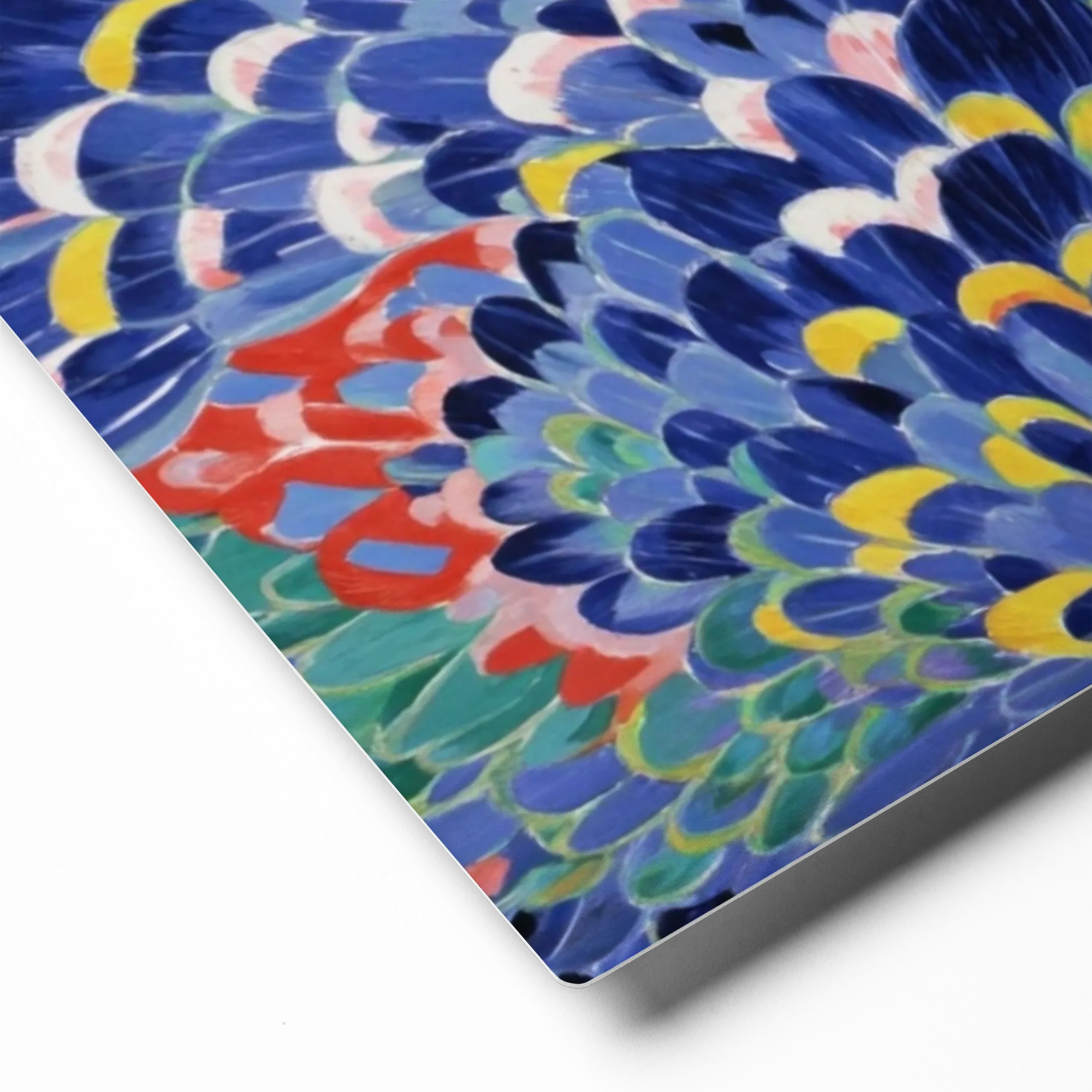Peacock Feather Impression | Art Print