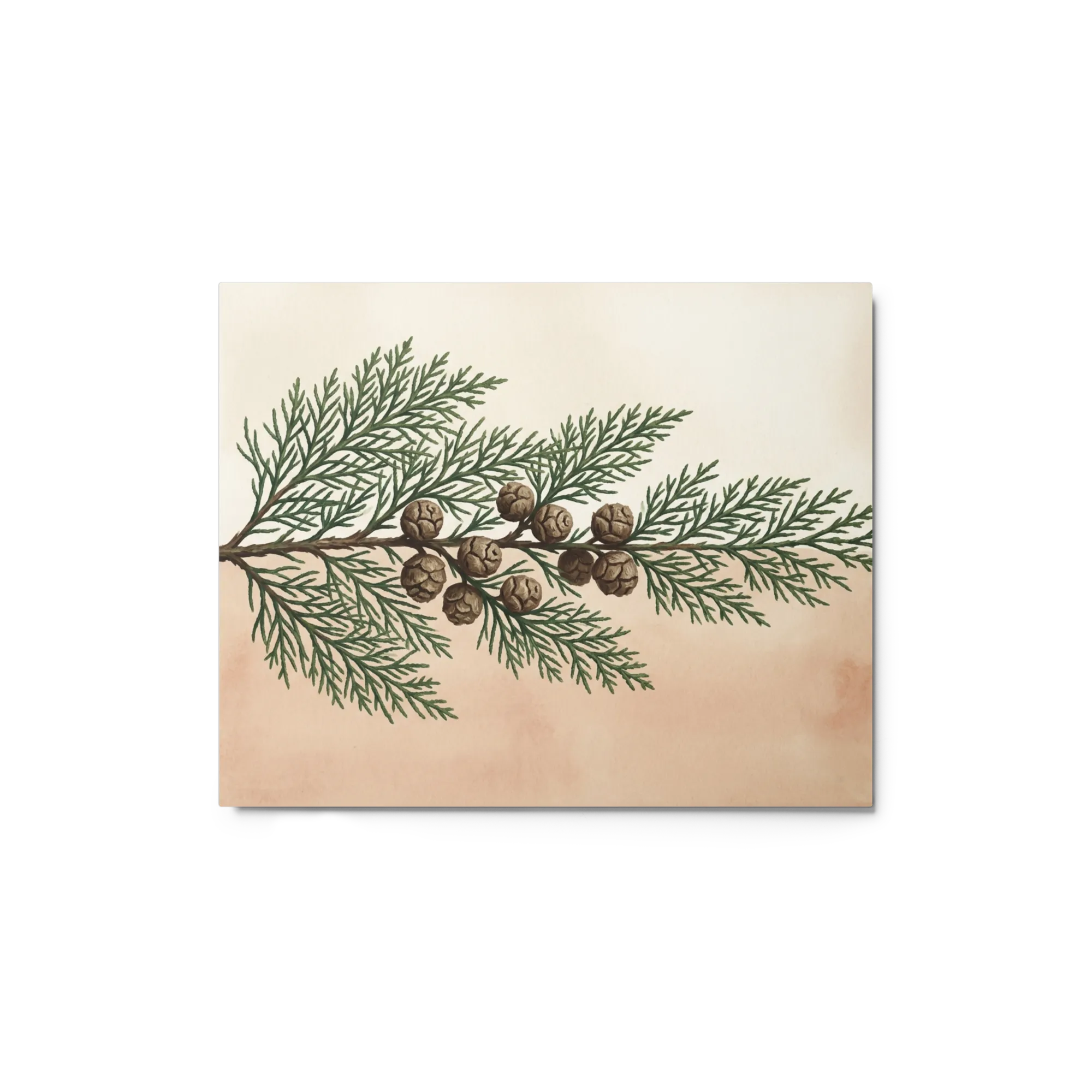 The Cypress Branch