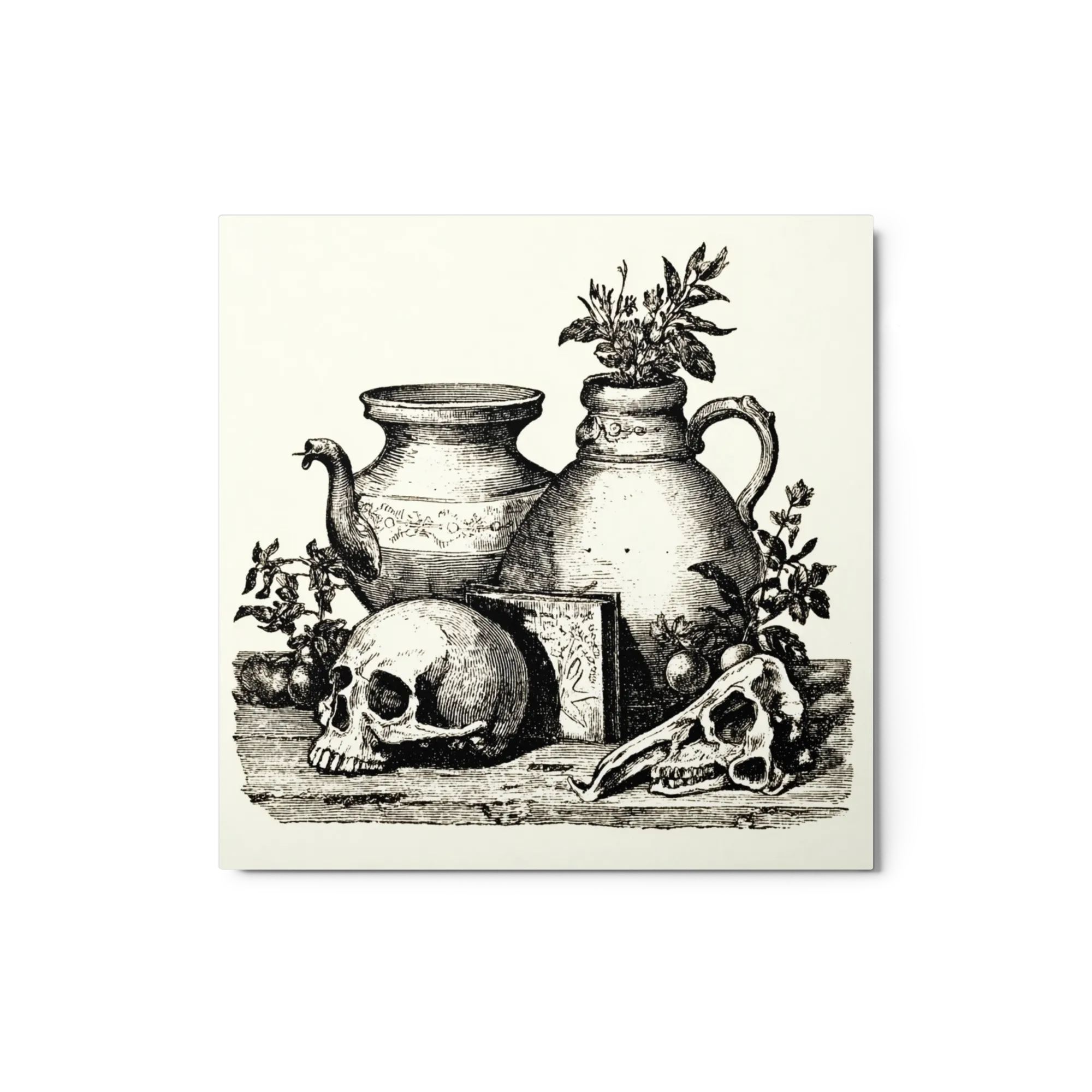 Vanitas Still Life with Skulls