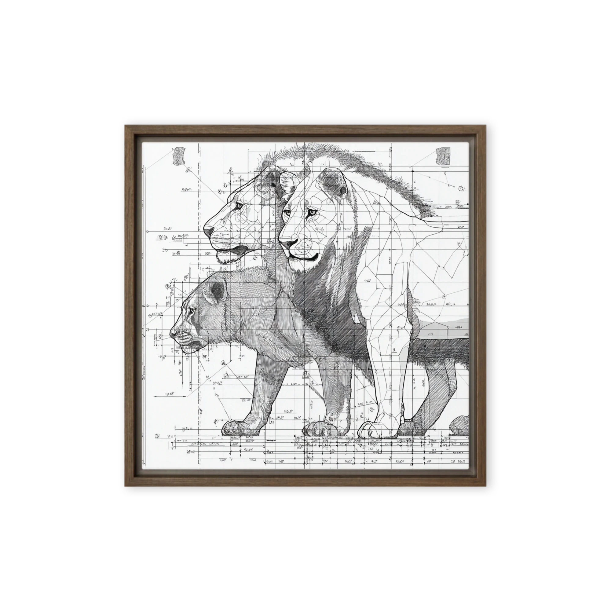 Anatomy of a Lion | Art Print