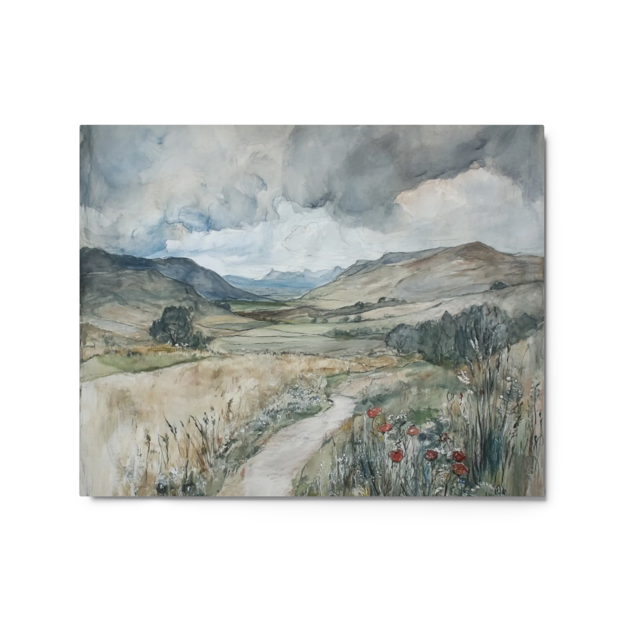 Winding Path Through Hills