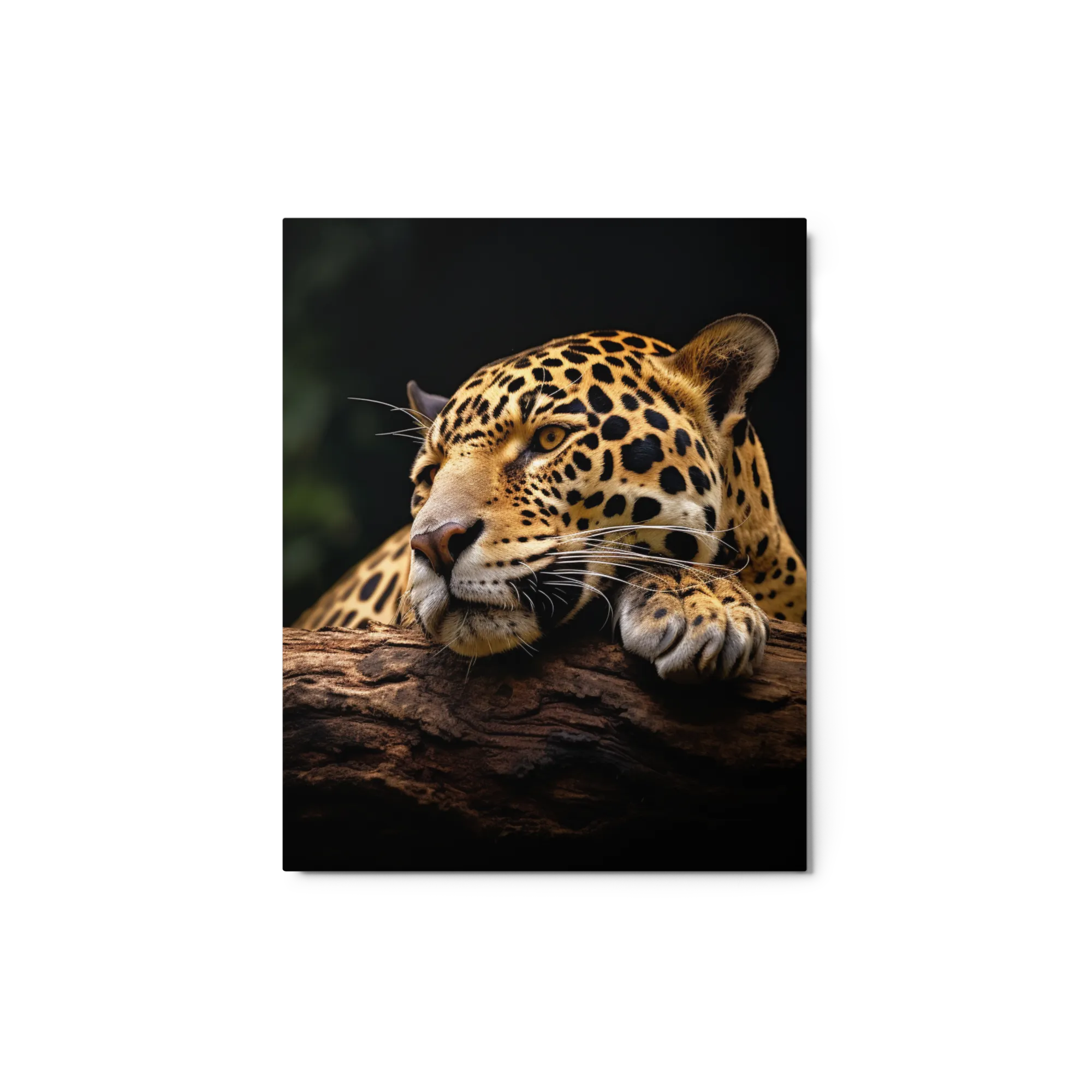 Silent Gaze