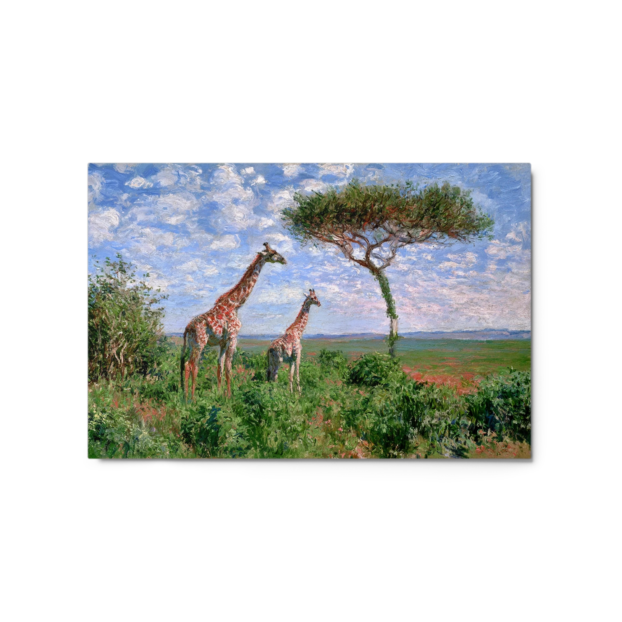 Giraffes on the Savanna