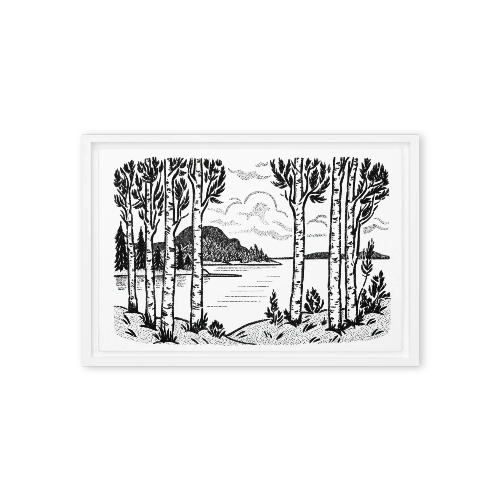 Birch Trees by the Lake