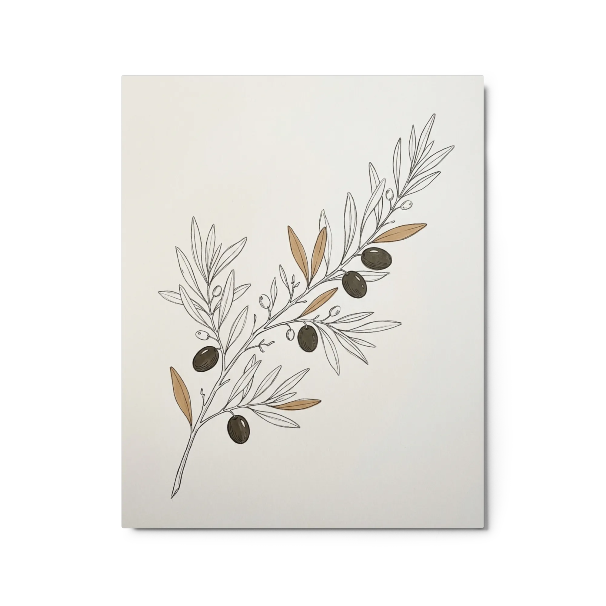Olive Branch