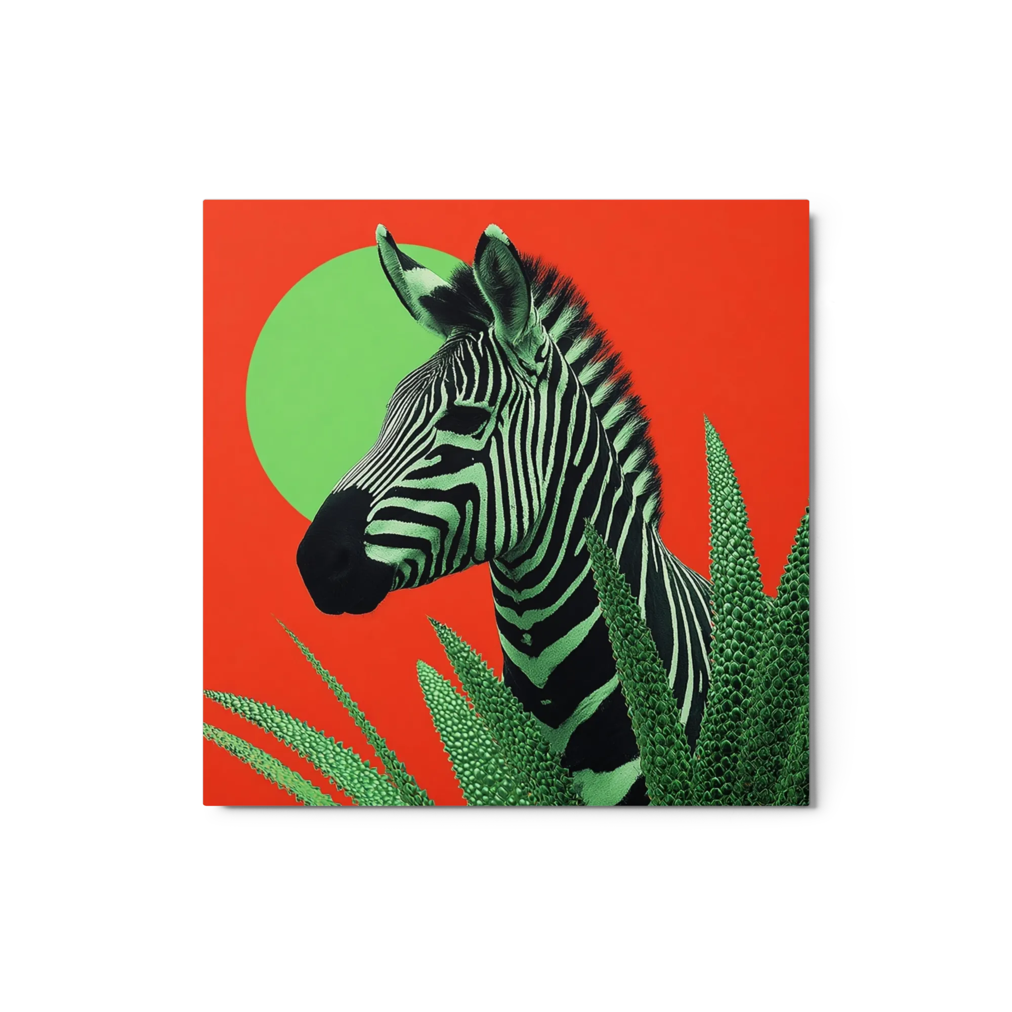 Zebra in Red Savanna