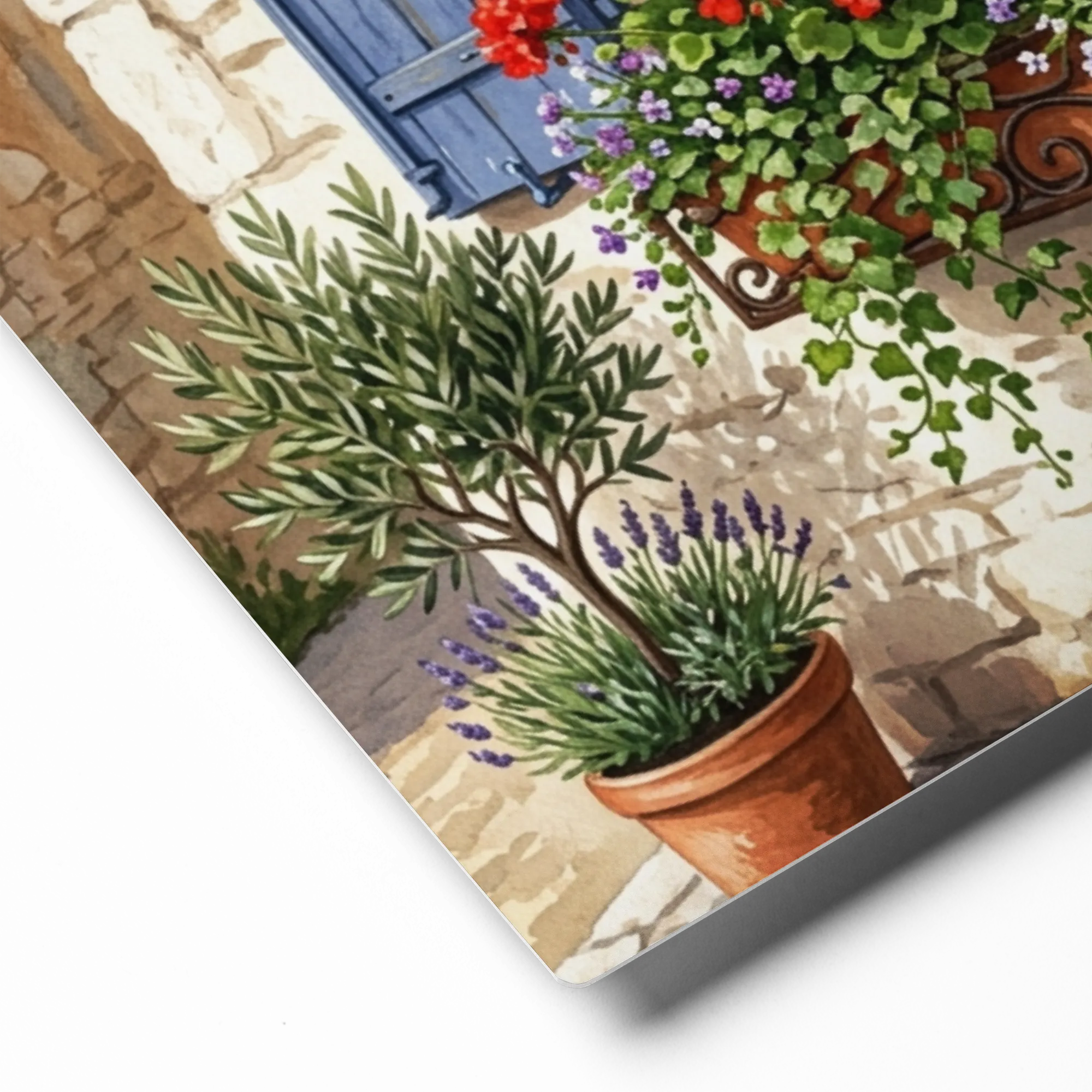 Provencal Window 
 Canvas with White Frame