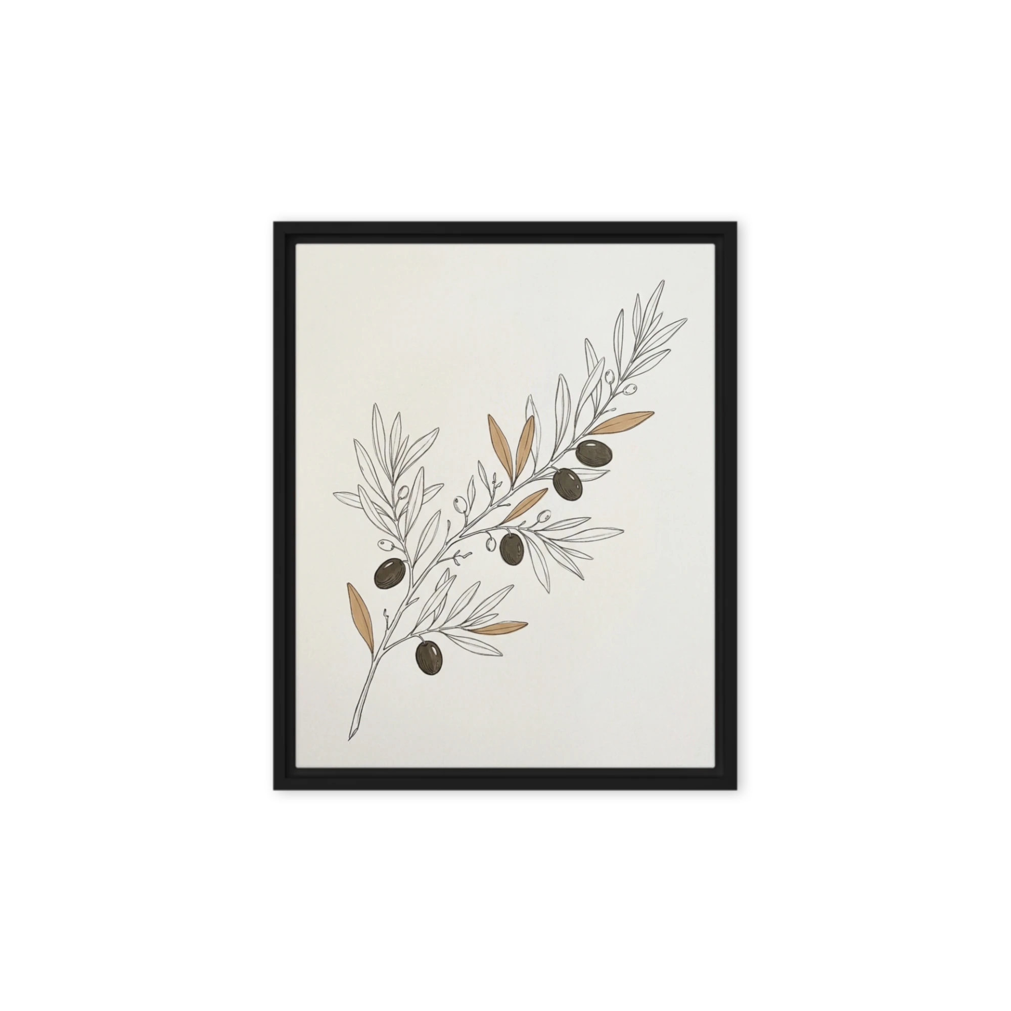 Olive Branch