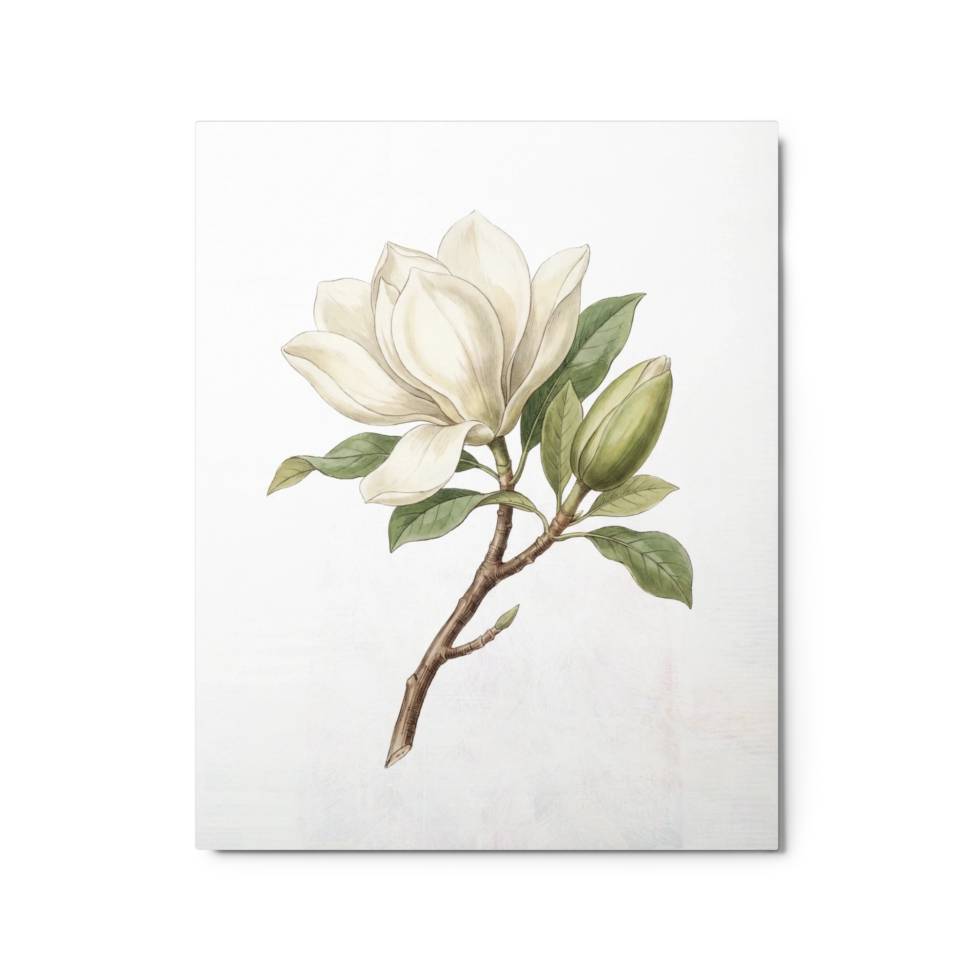 Magnolia Blossom