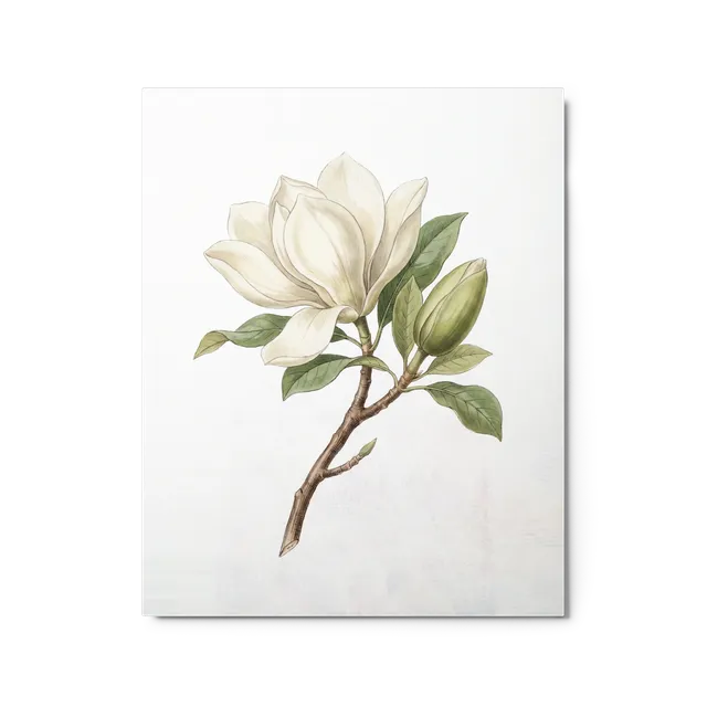 Magnolia Blossom | Art Print