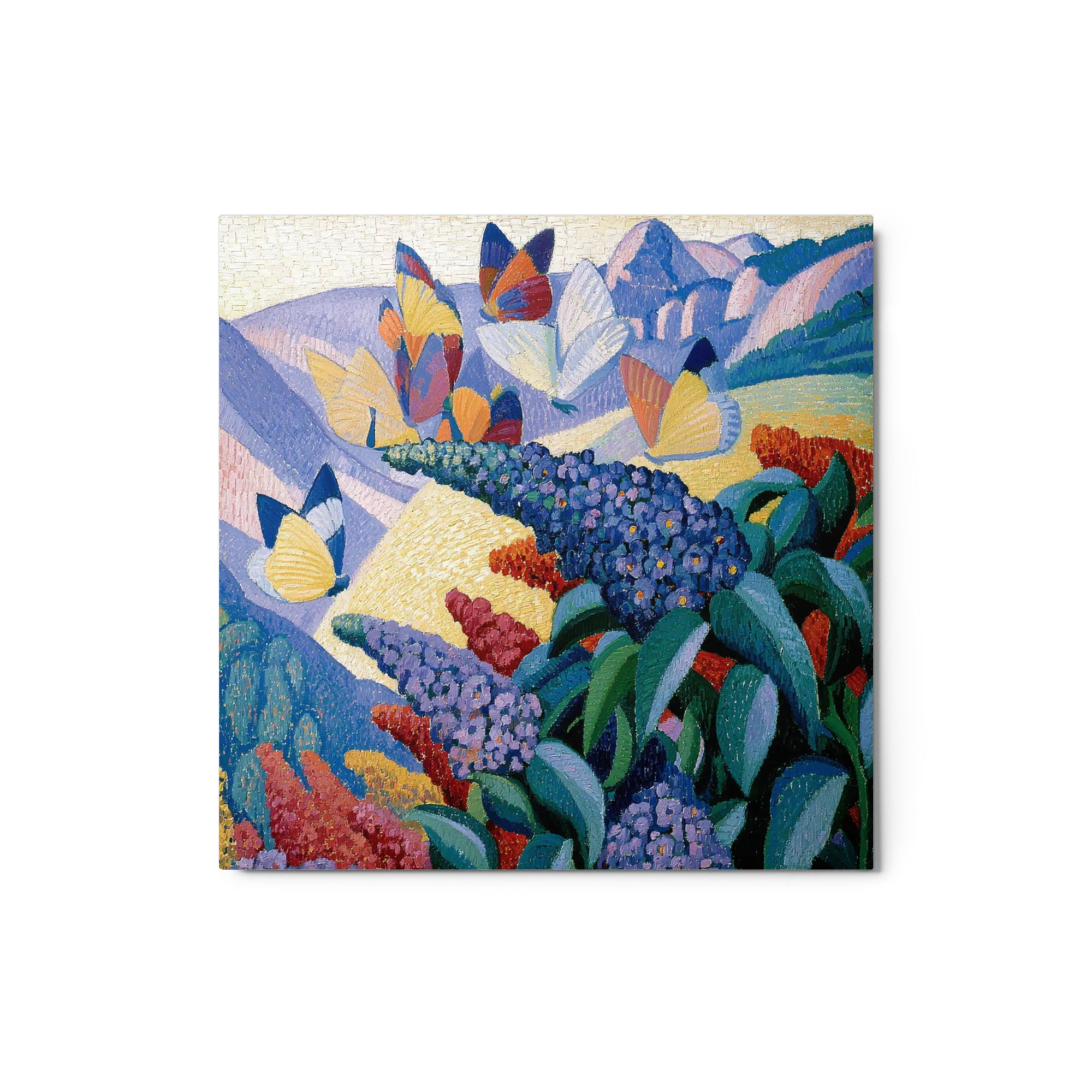 The Butterfly Garden