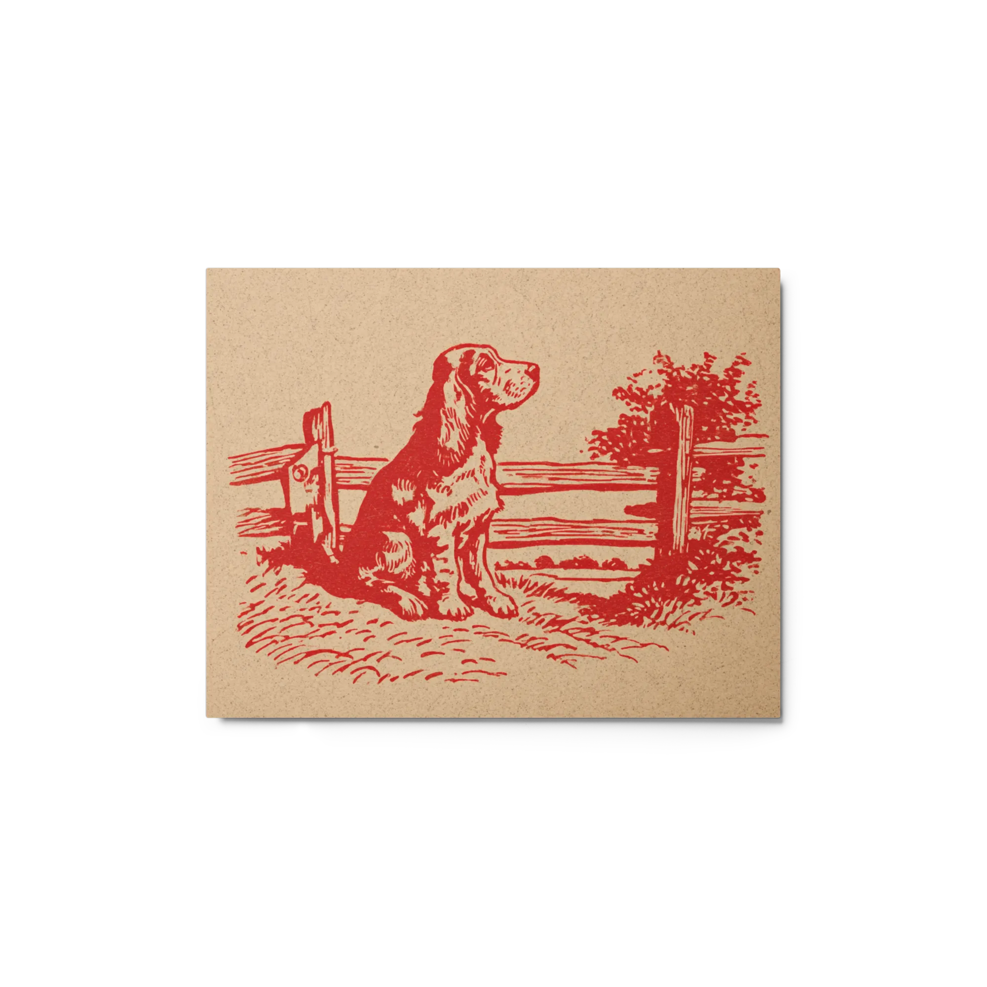 The Watchful Setter