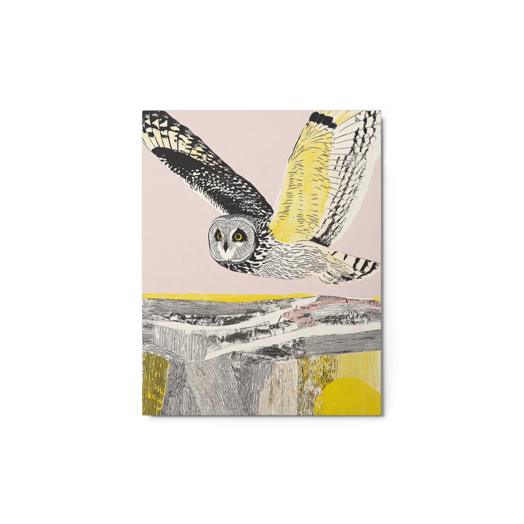 Owl over Gold Fields