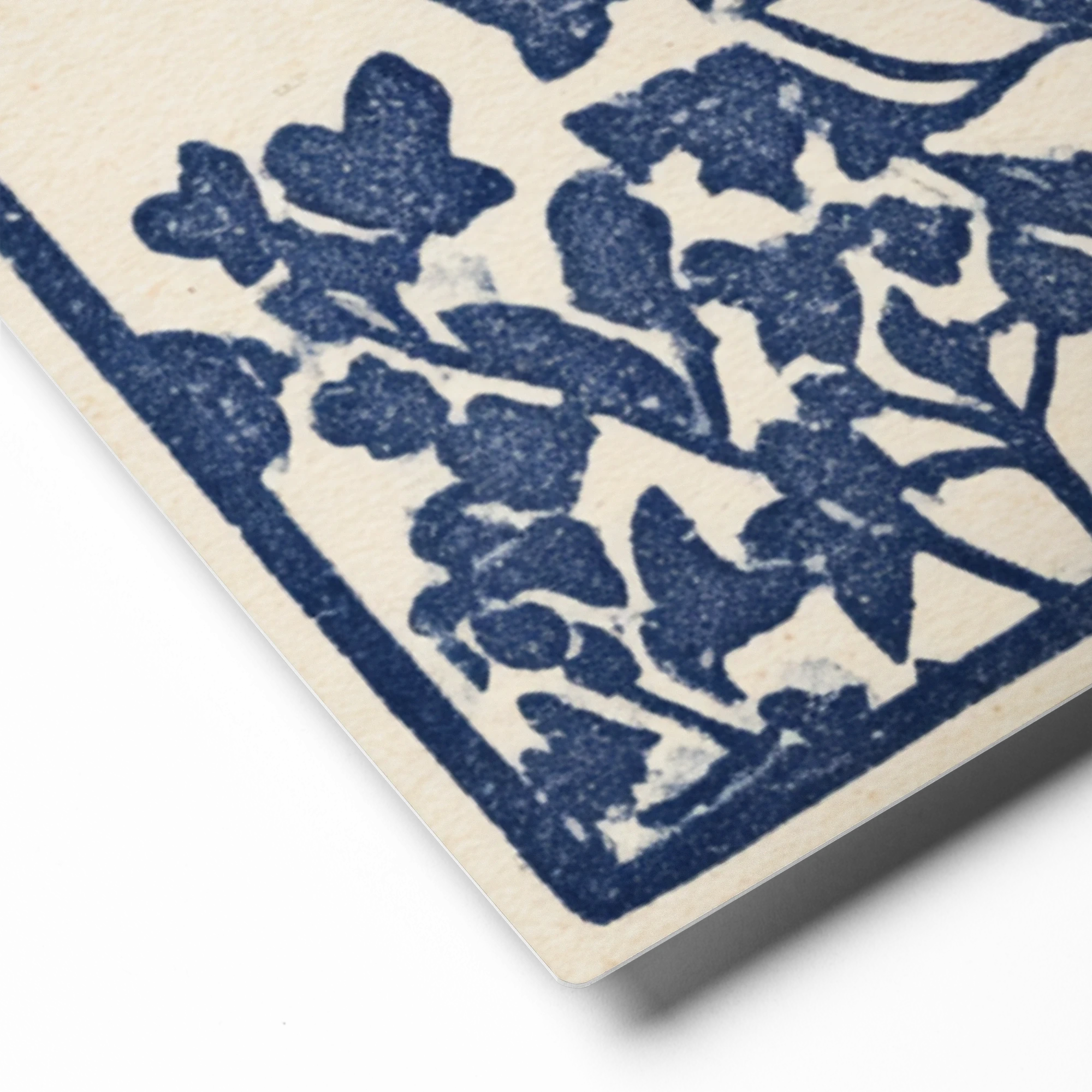 Celestial Succulents | Art Print