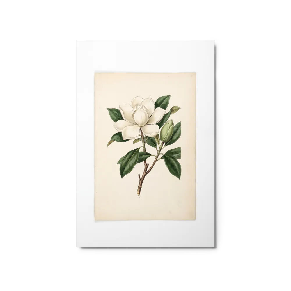 Botanical Magnolia Blossom 
 Canvas with Brown Frame