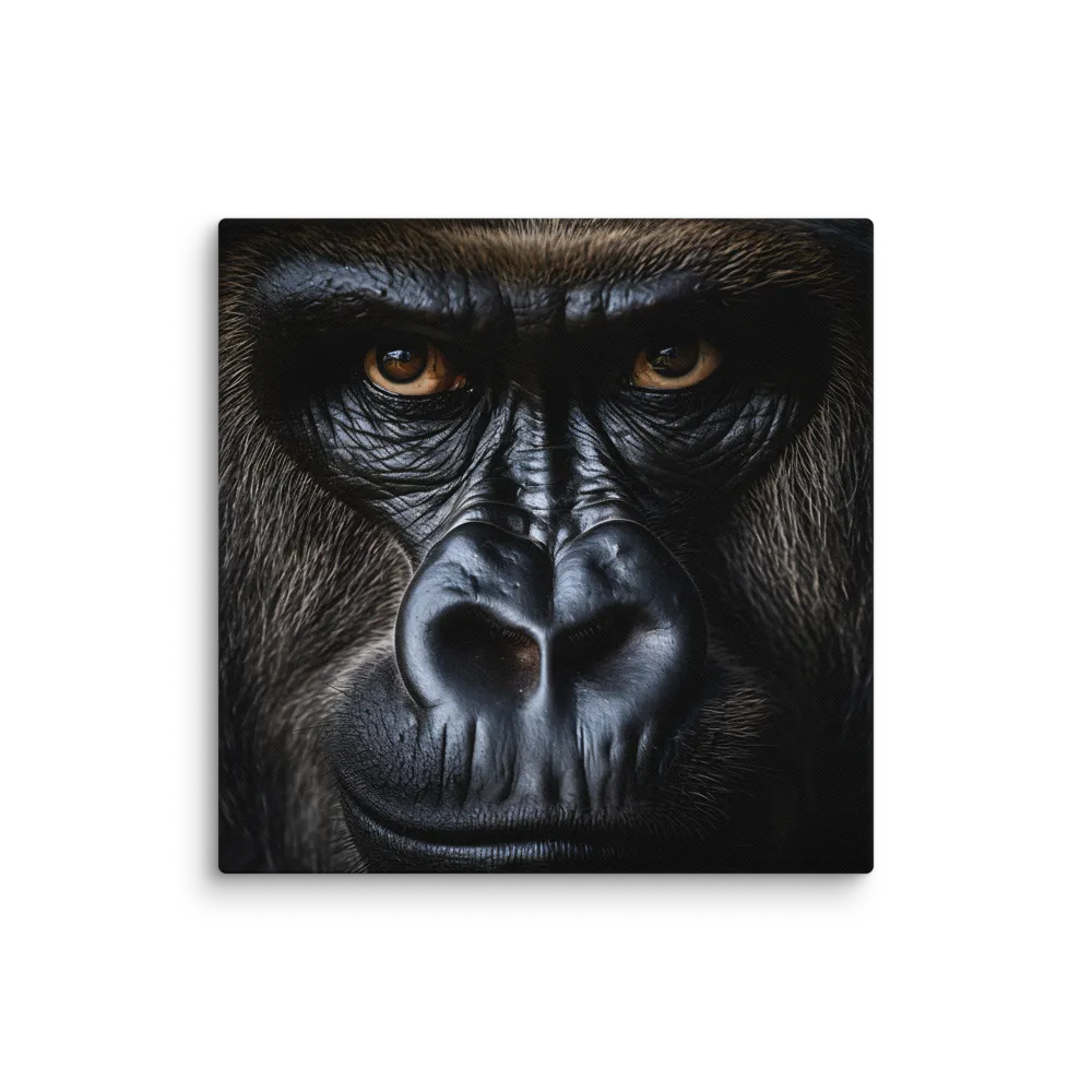 Photography, Framed — Through the Lens
