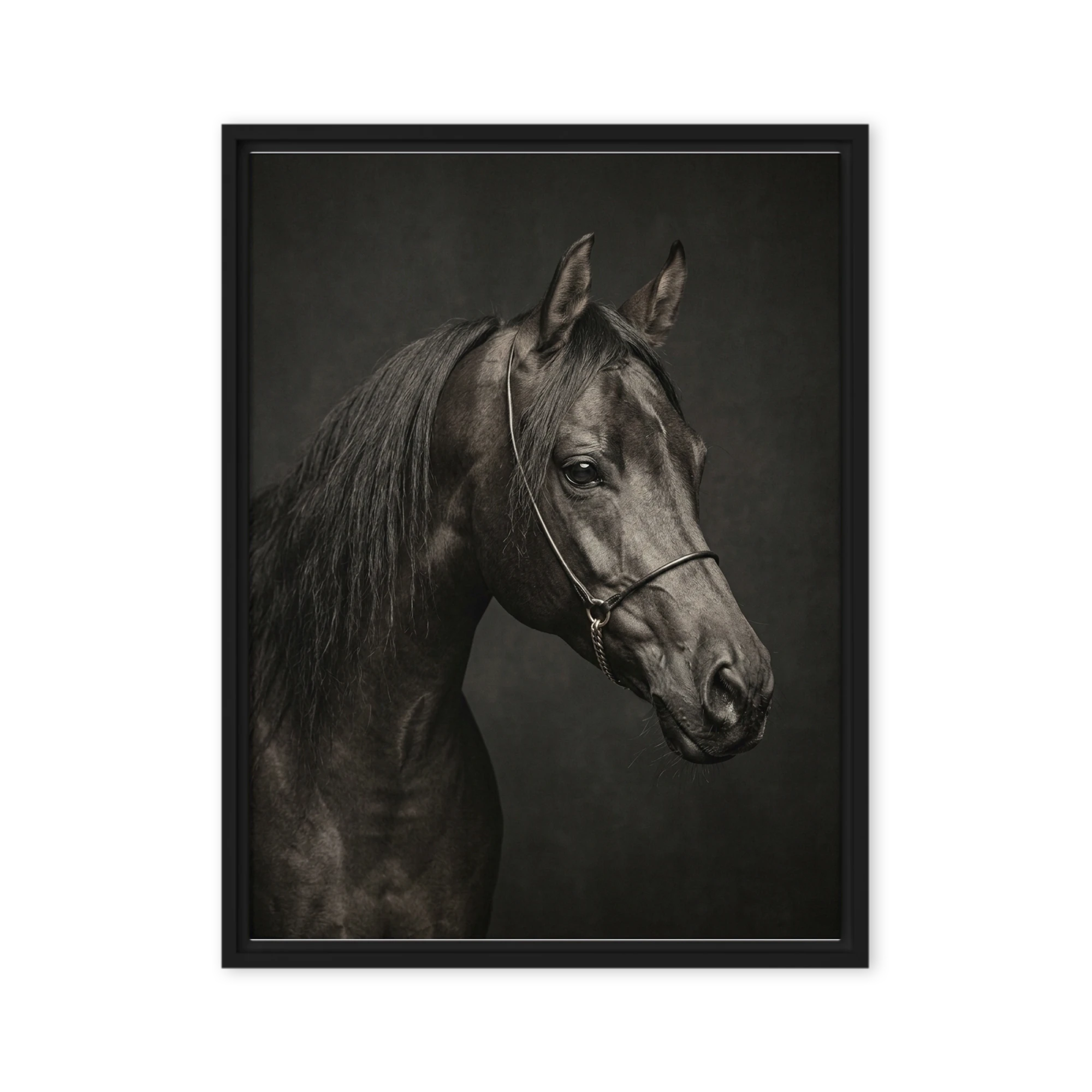 Dark Elegance