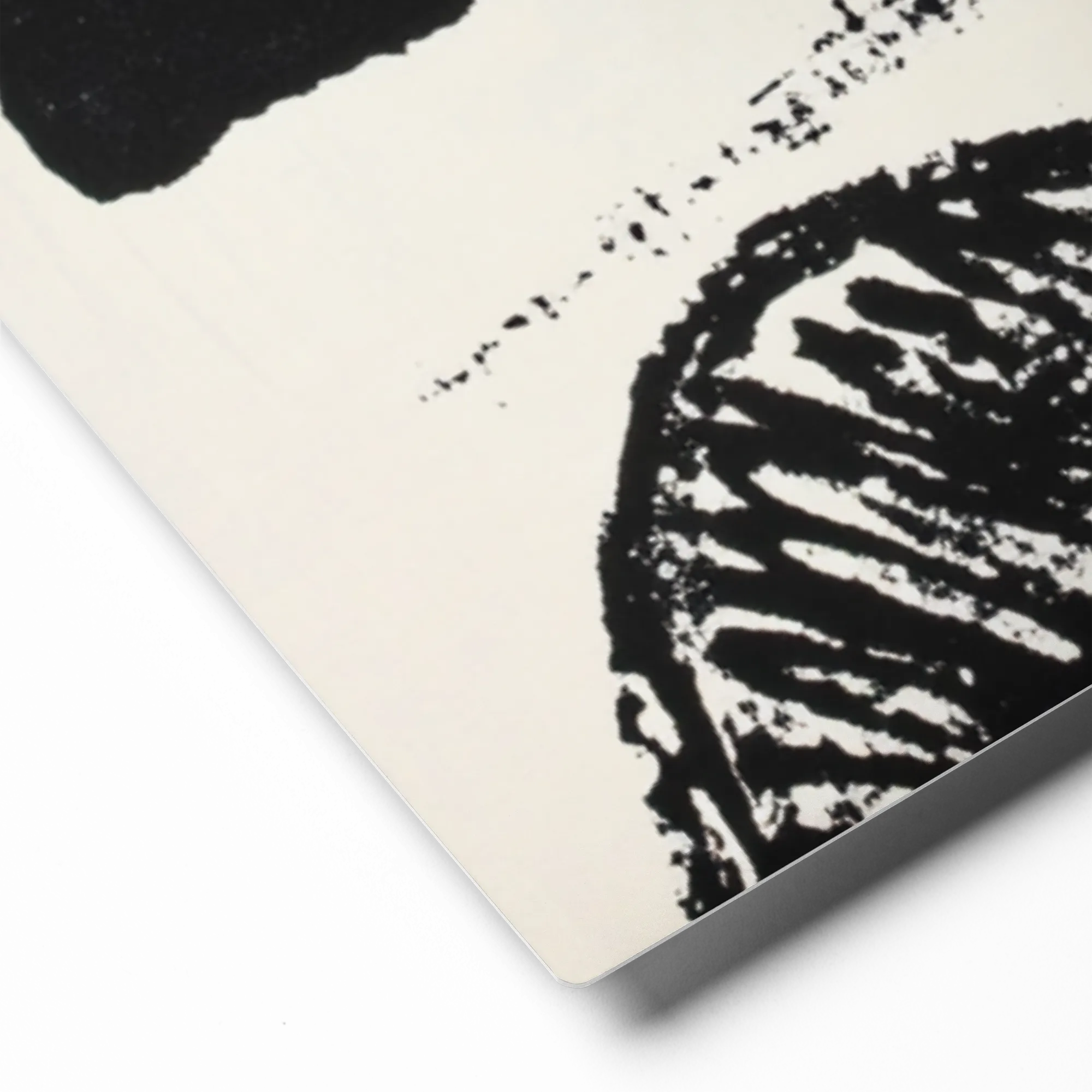Monochrome Botanical 
 Poster with Black Frame | 8″x 10″