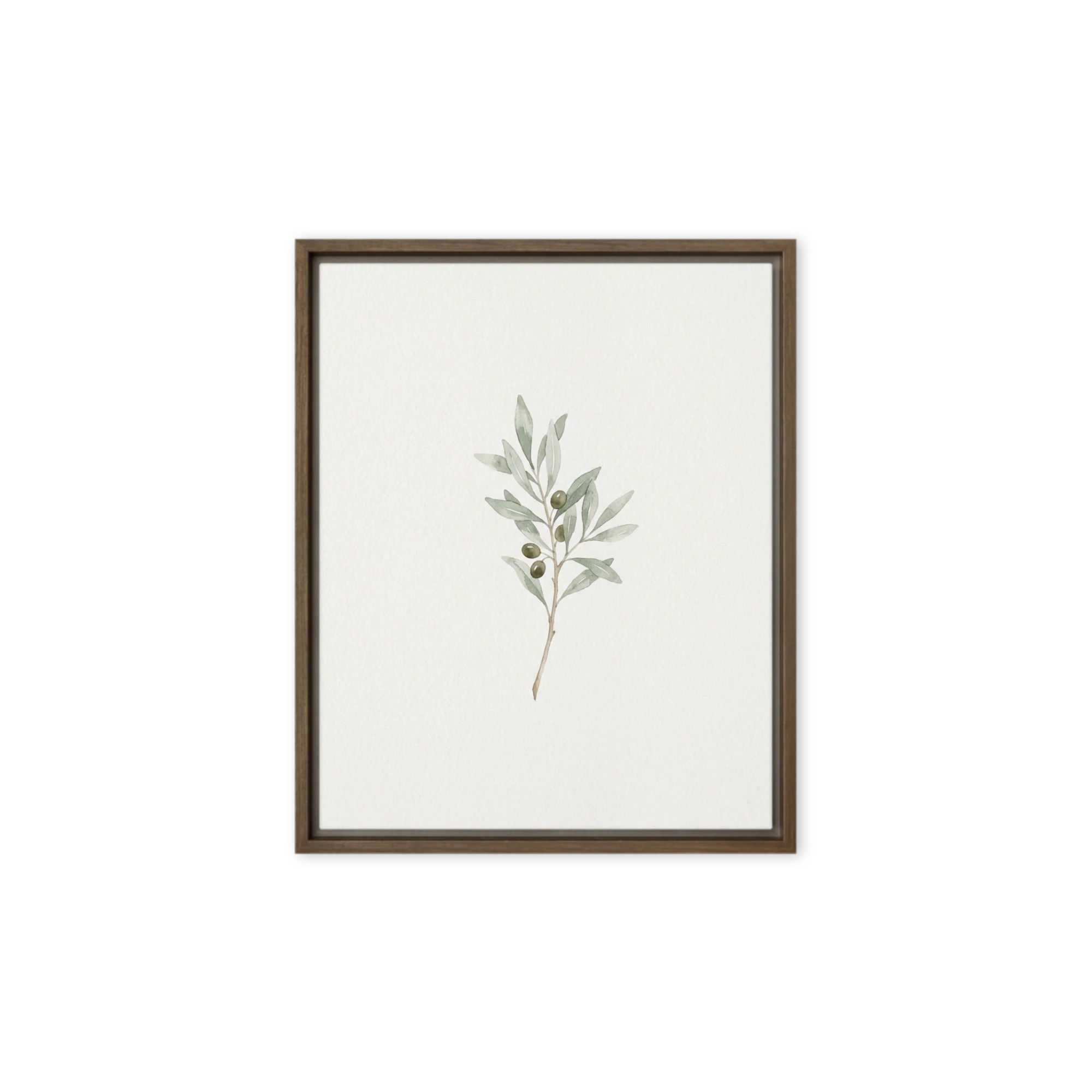 Olive Branch Watercolor