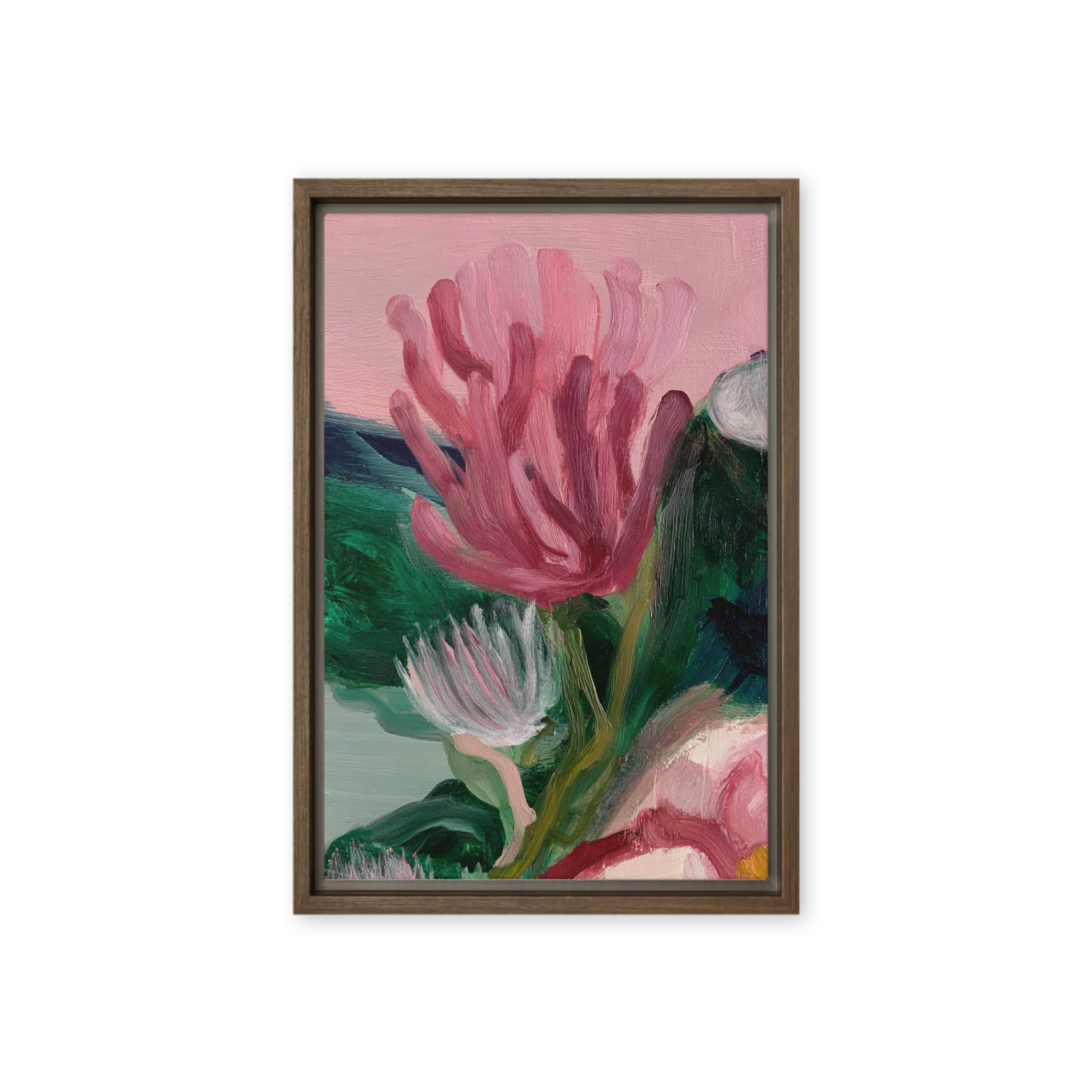 Blossoming Protea