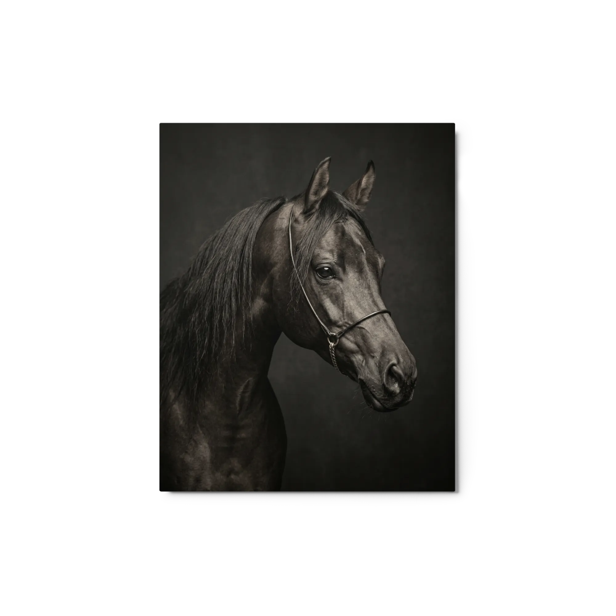 Dark Elegance 
 Metal Print | 16″x 20″