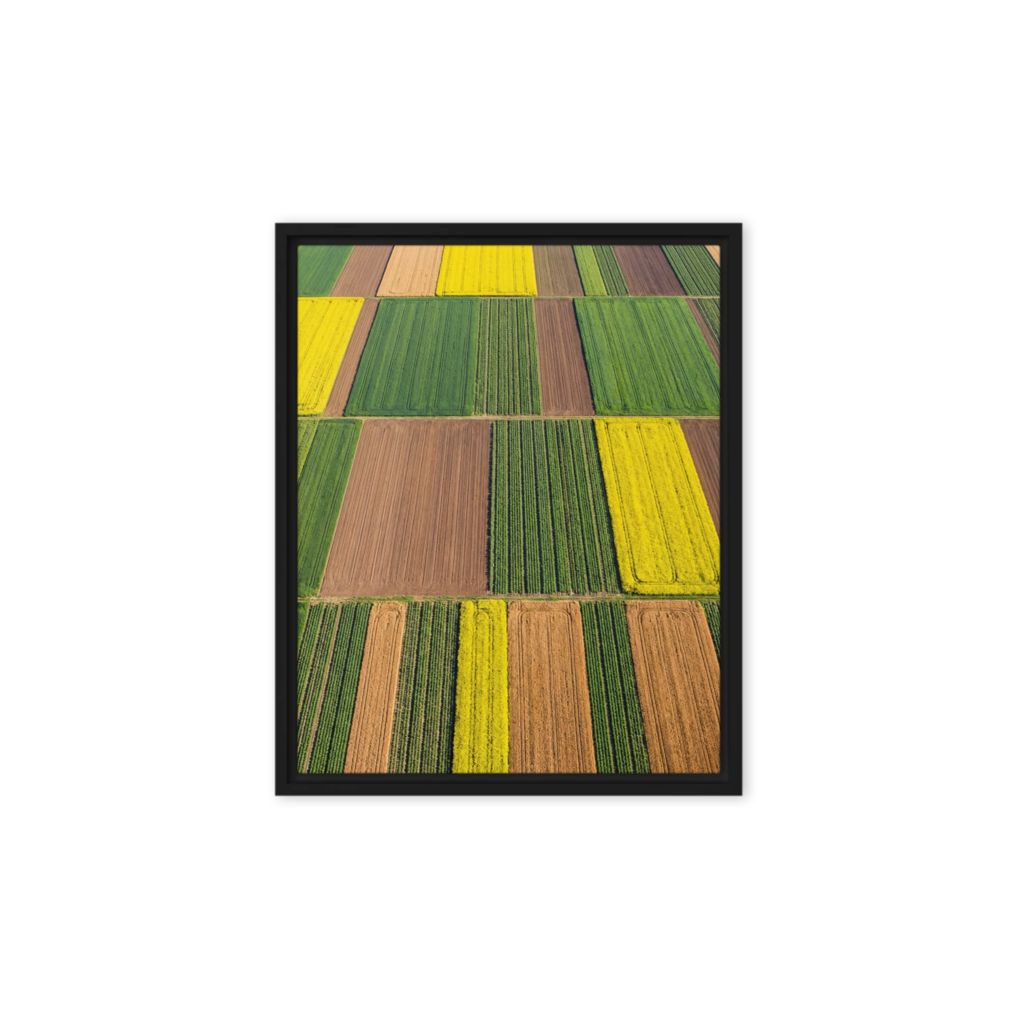 Aerial Field Mosaic