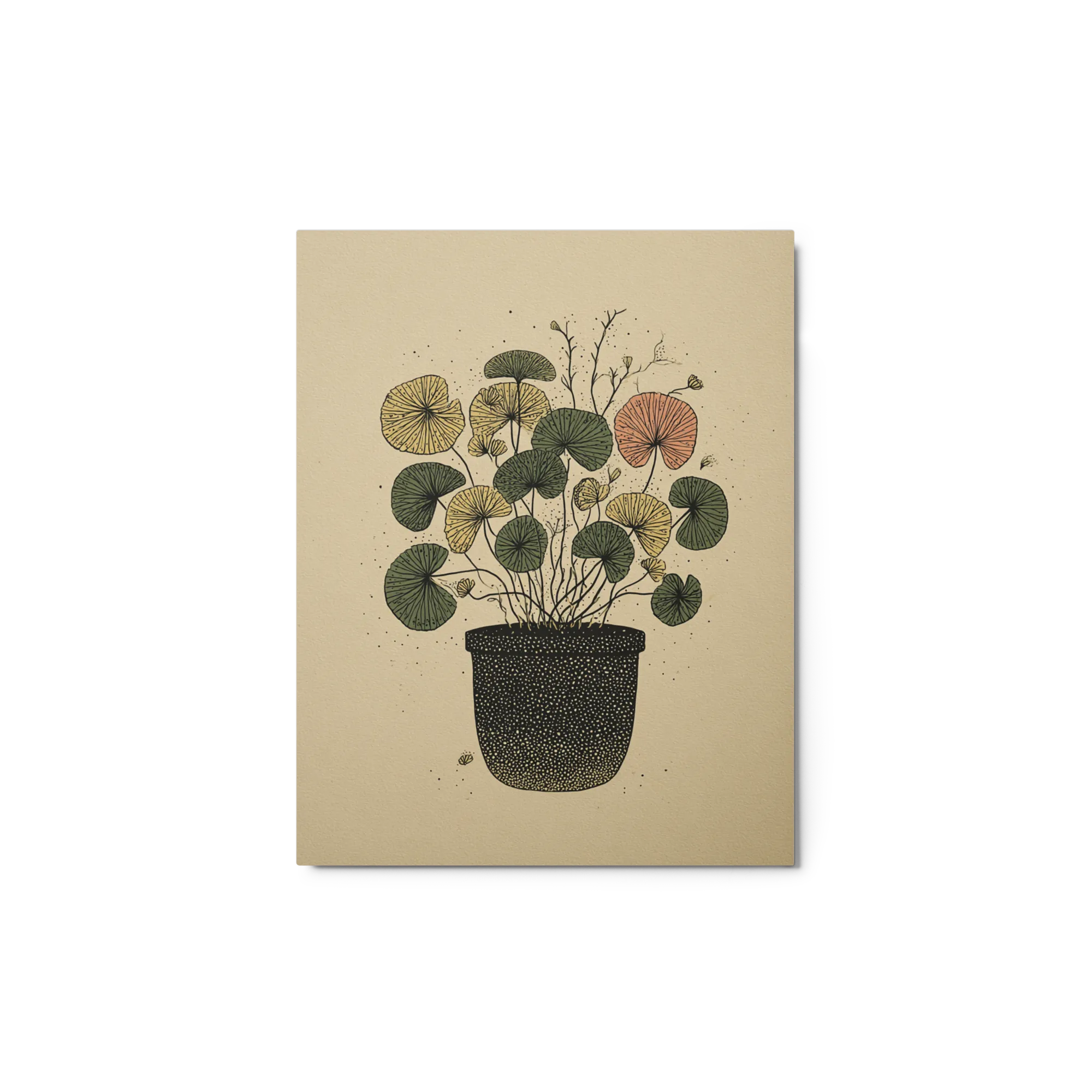 Ginkgo in Clay Pot