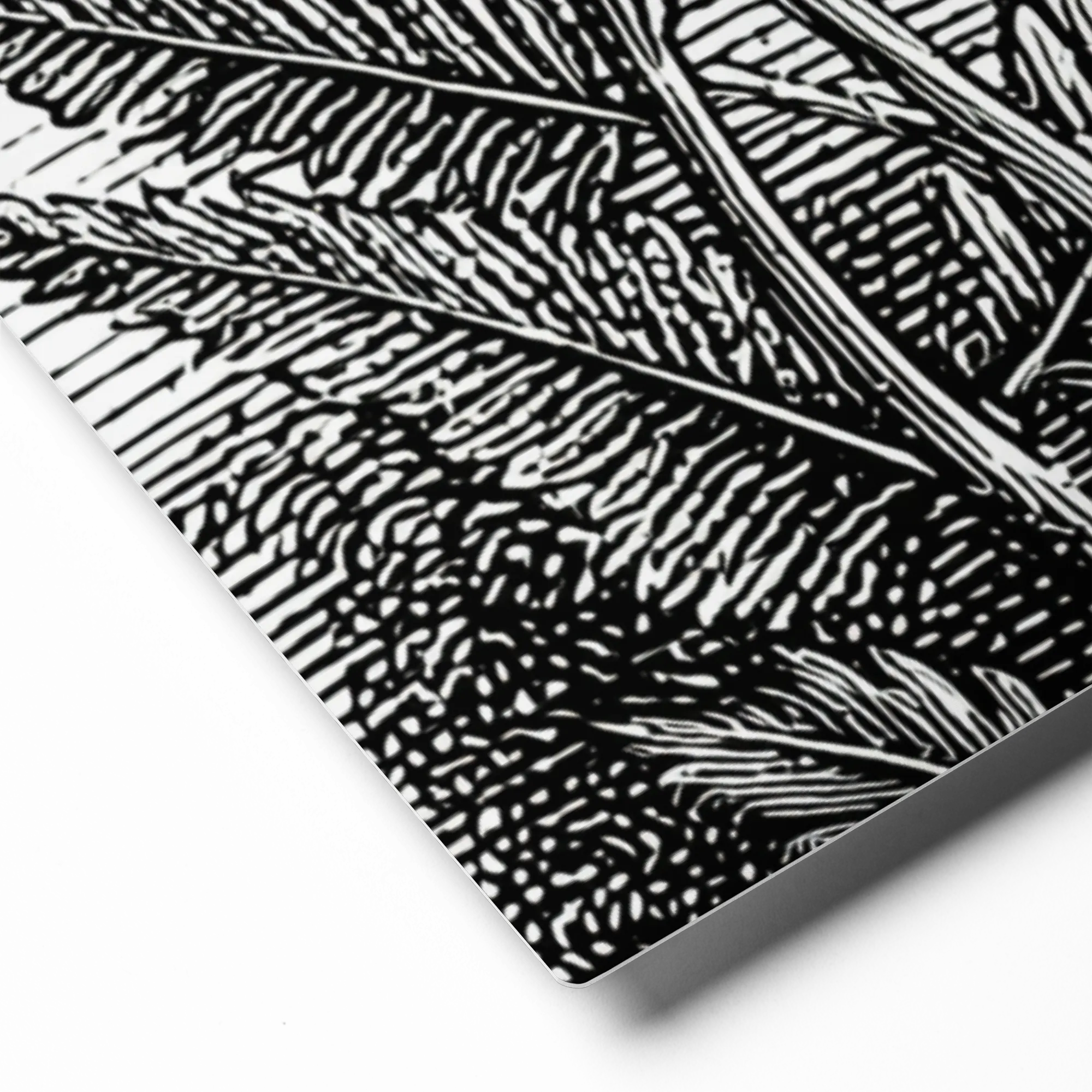 Solar Fern | Art Print