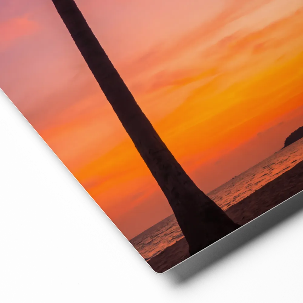 Tropical Horizon | Art Print