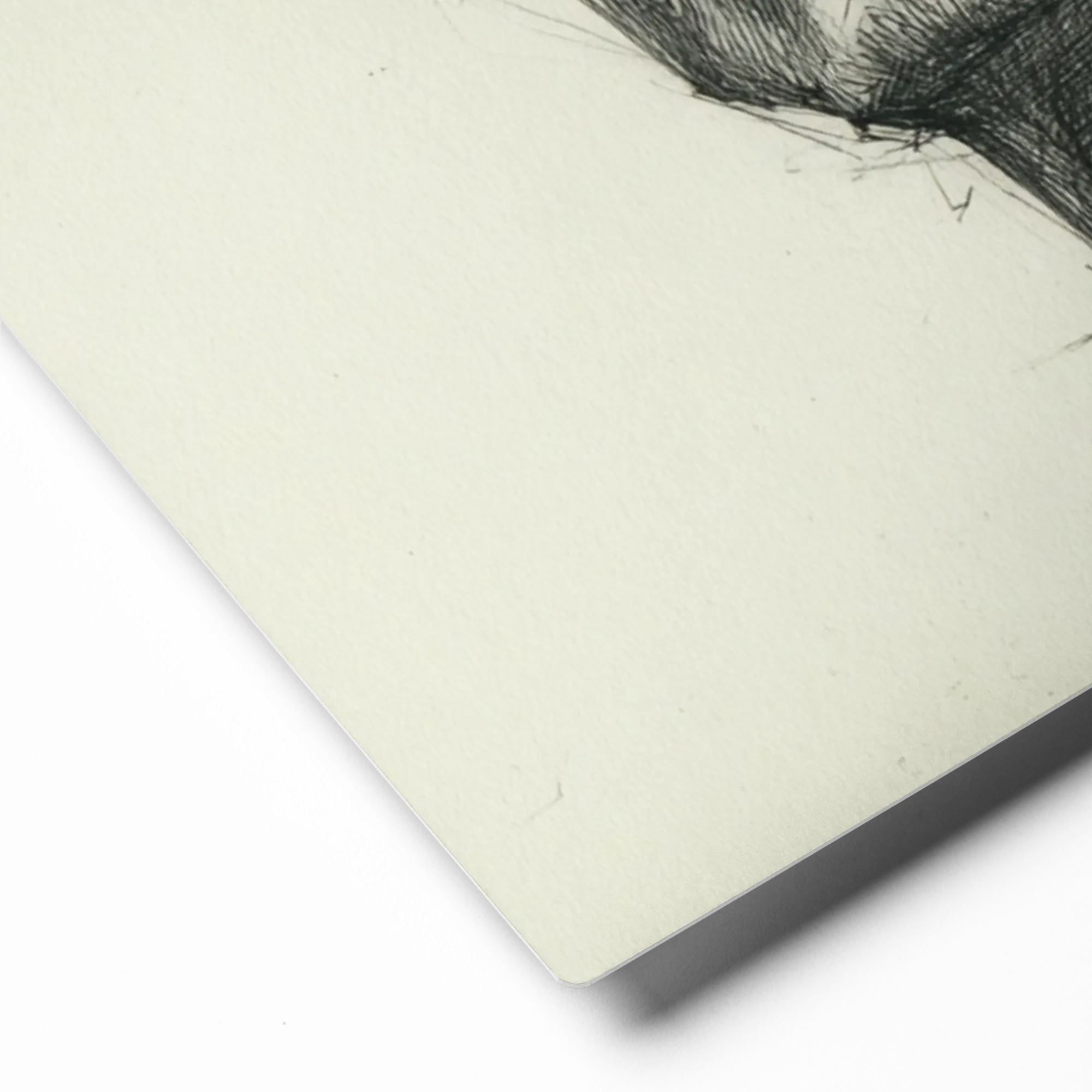 Pensive Gaze | Art Print