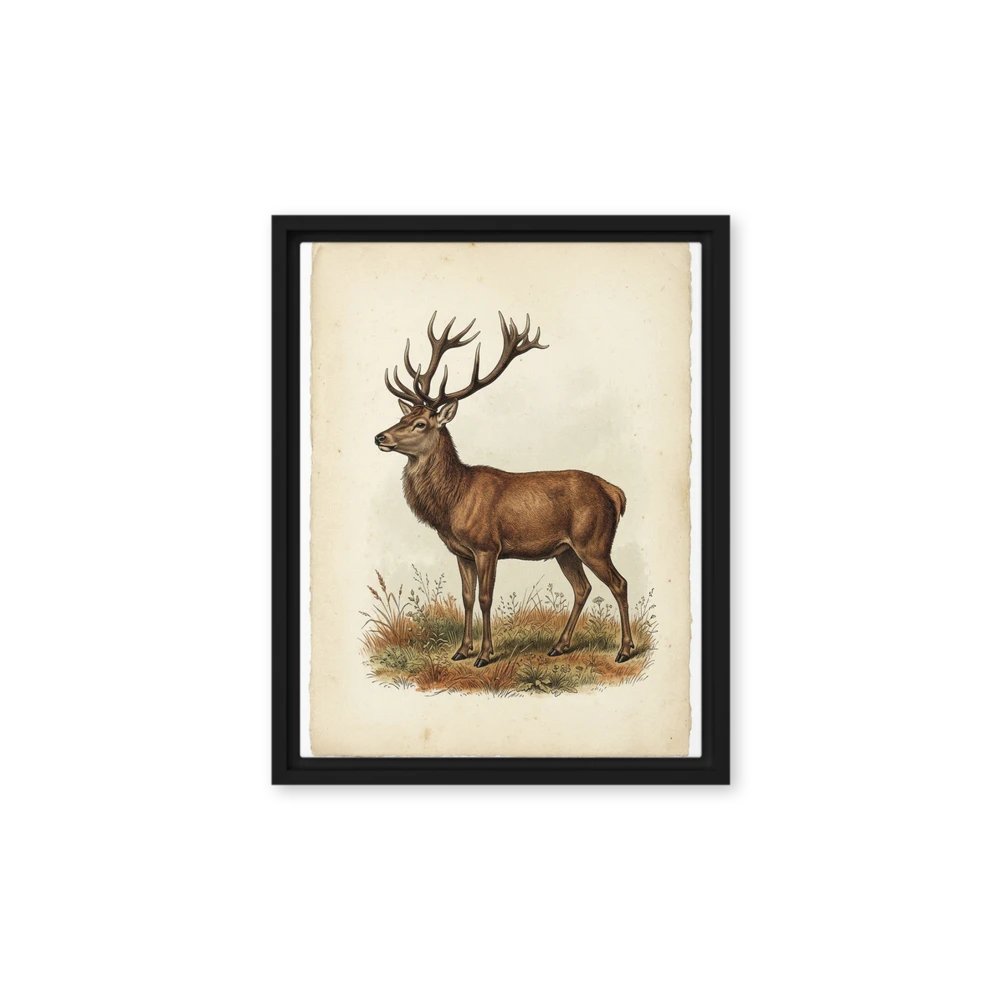 The Noble Stag Engraving | Art Print