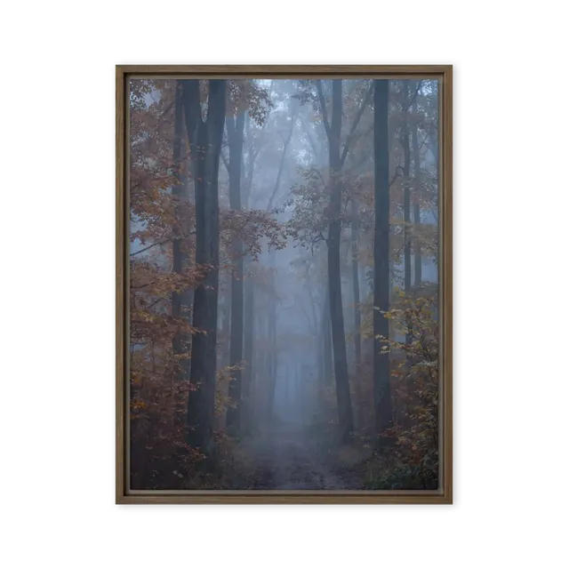 Photography Wall Art for Modern Spaces — Modern Lens