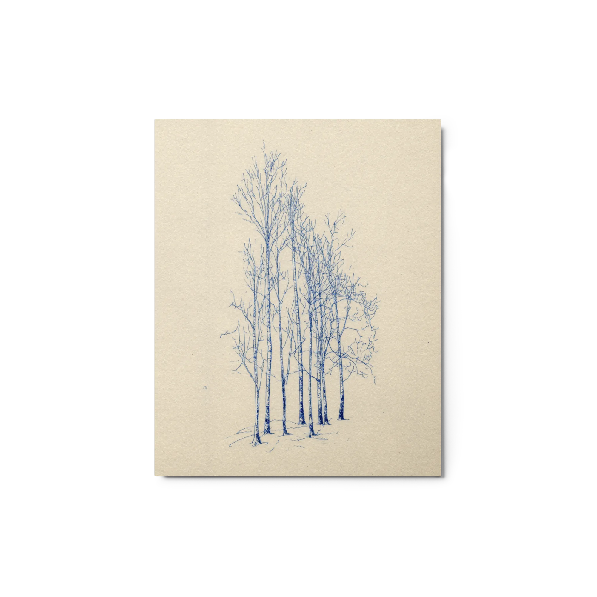 Slender Birches