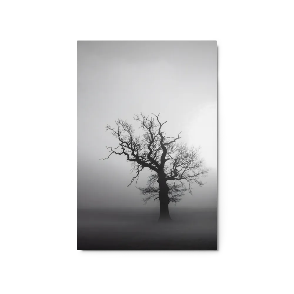 Abstract and Photographic Statements — Form Meets Frame