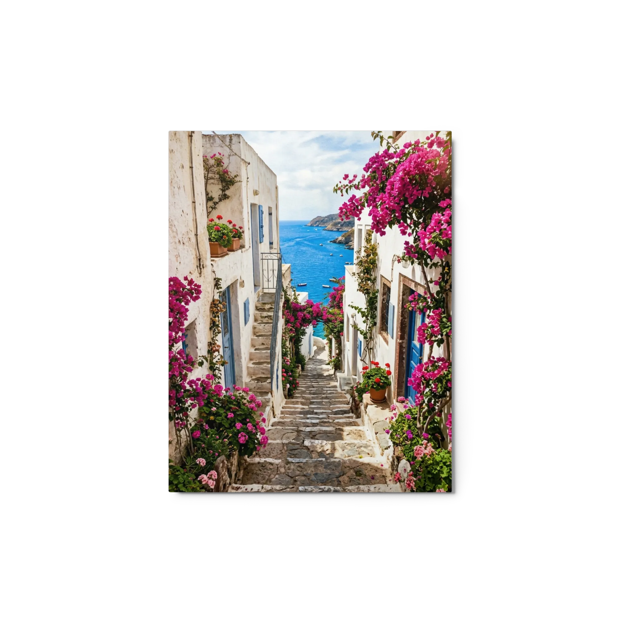 Bougainvillea Coastal Charm