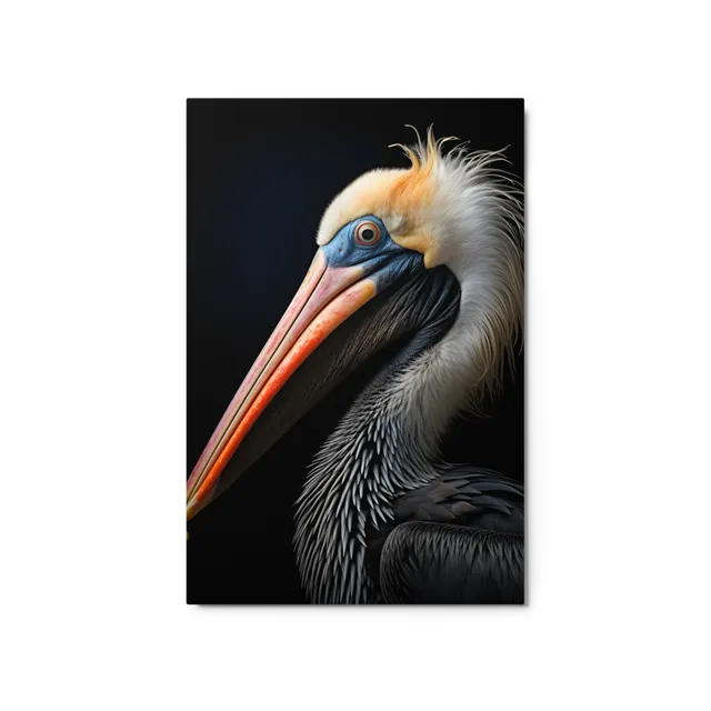 Solemn Pelican | Art Print