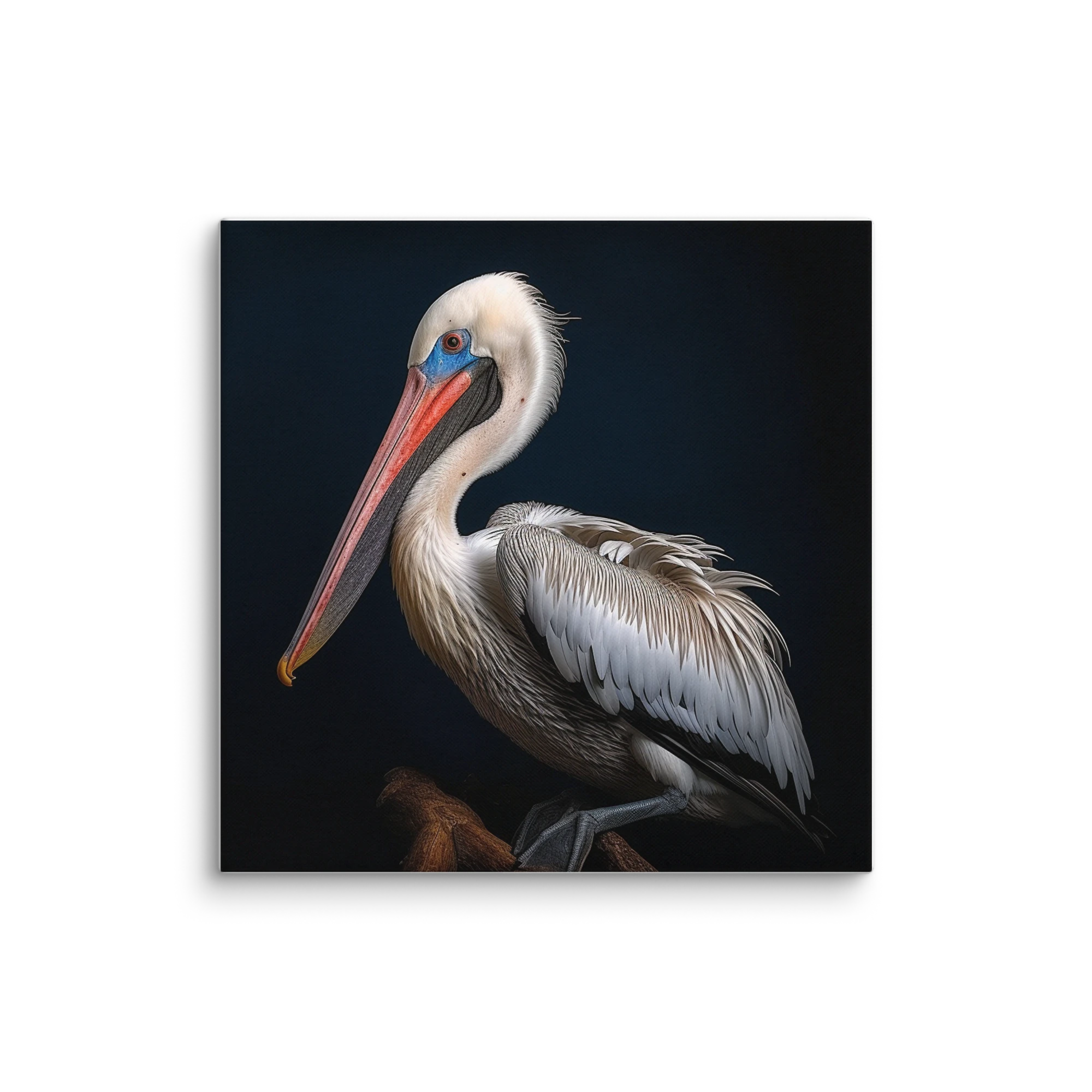 Close-Up of a Pelican