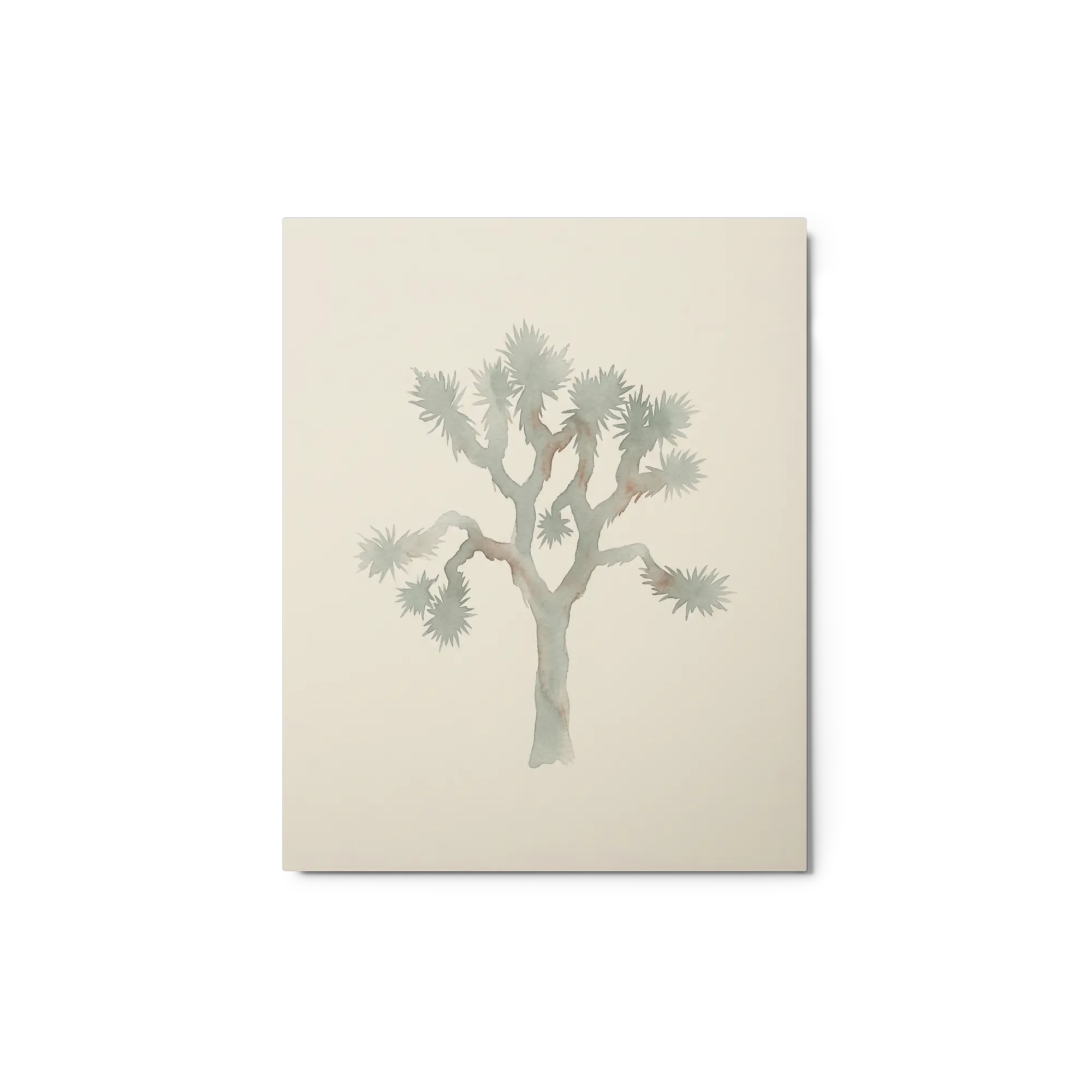 Desert Solitude