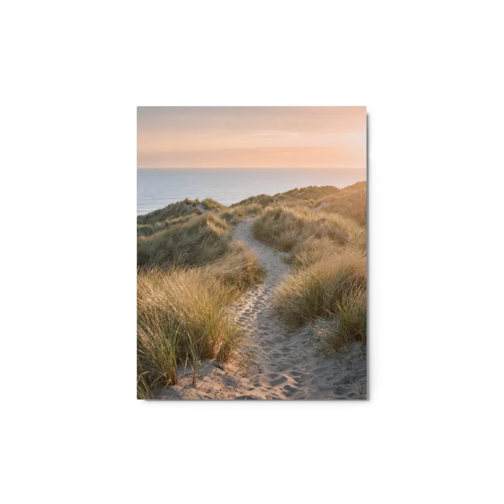 Coastal Dune Pathway at Sunset