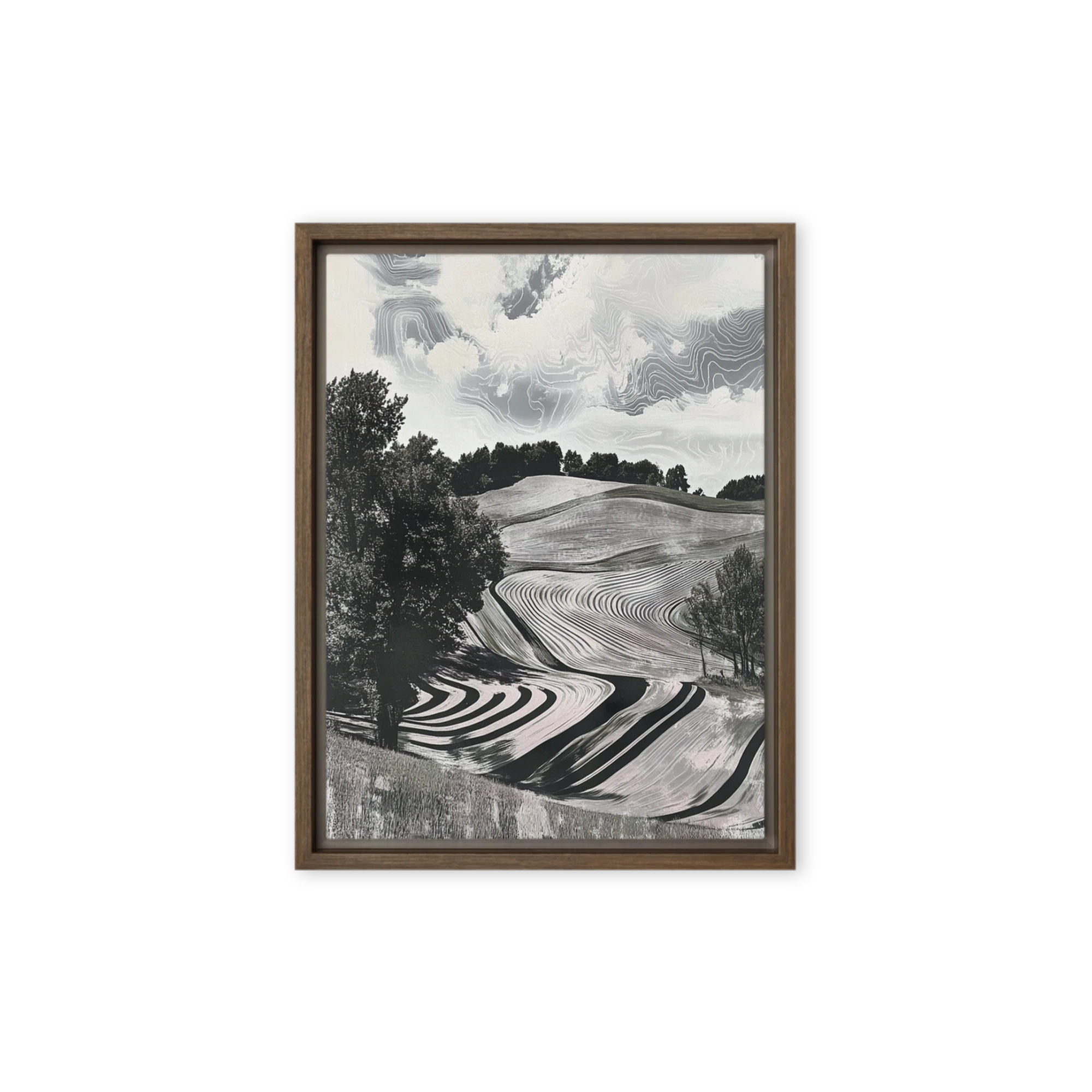 Surreal Black and White Landscape