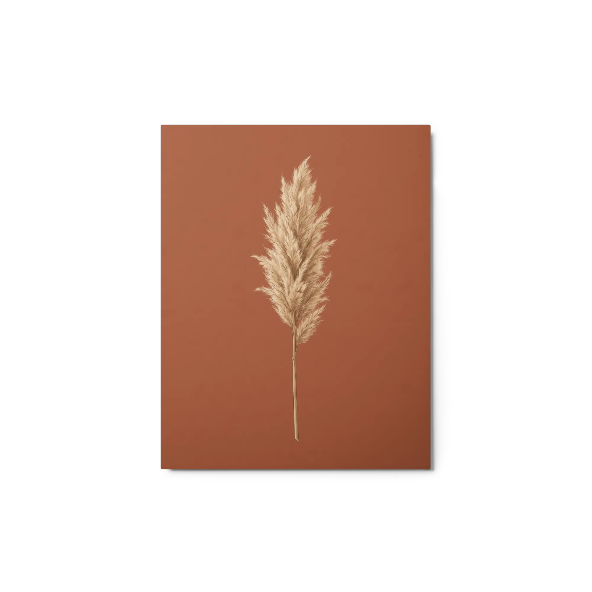 Terracotta Pampas