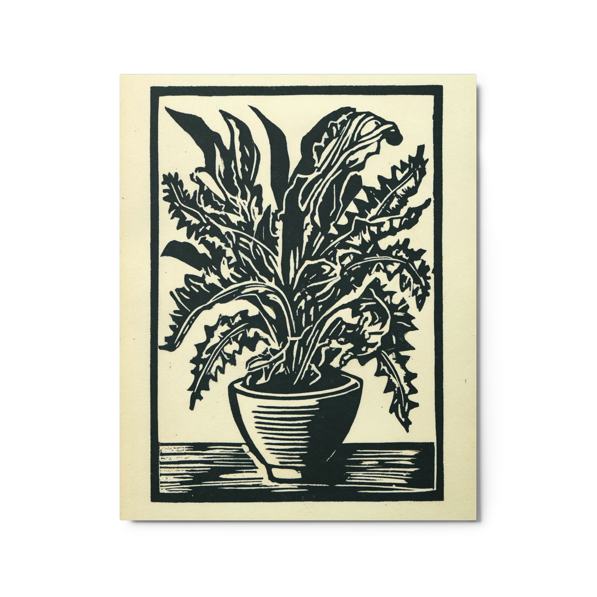Potted Botanical Print