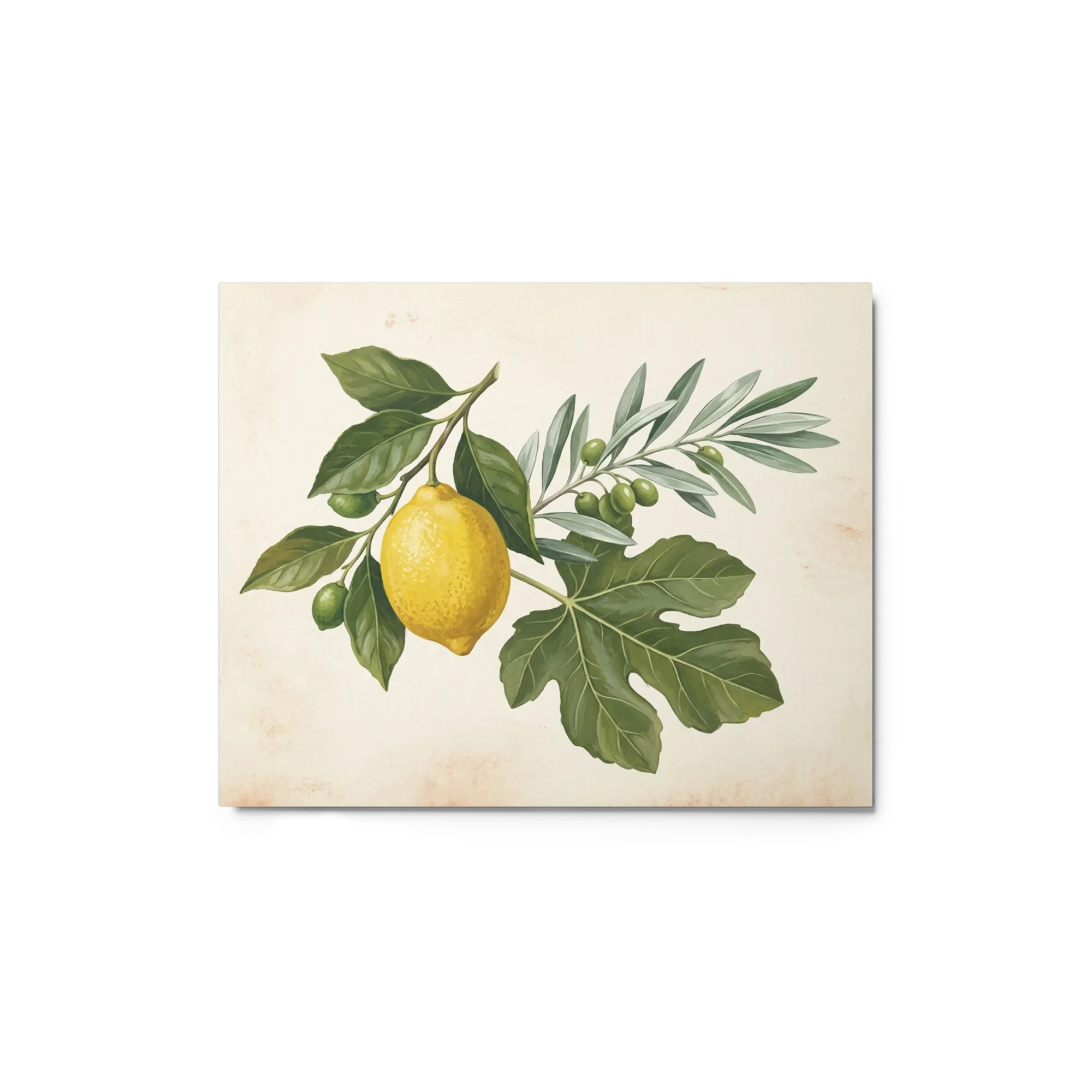 Mediterrane Ernte