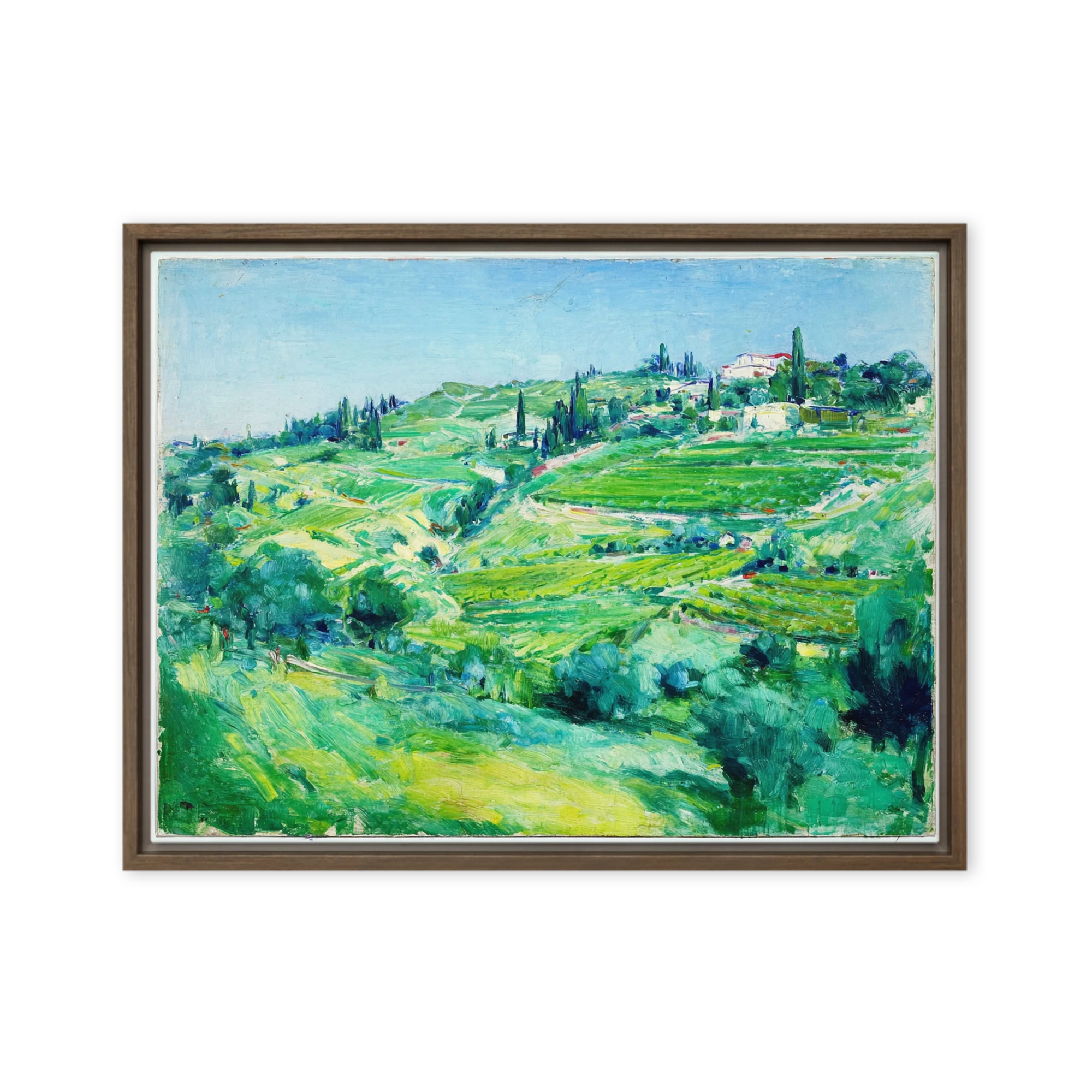 Sunlit Terraced Hills