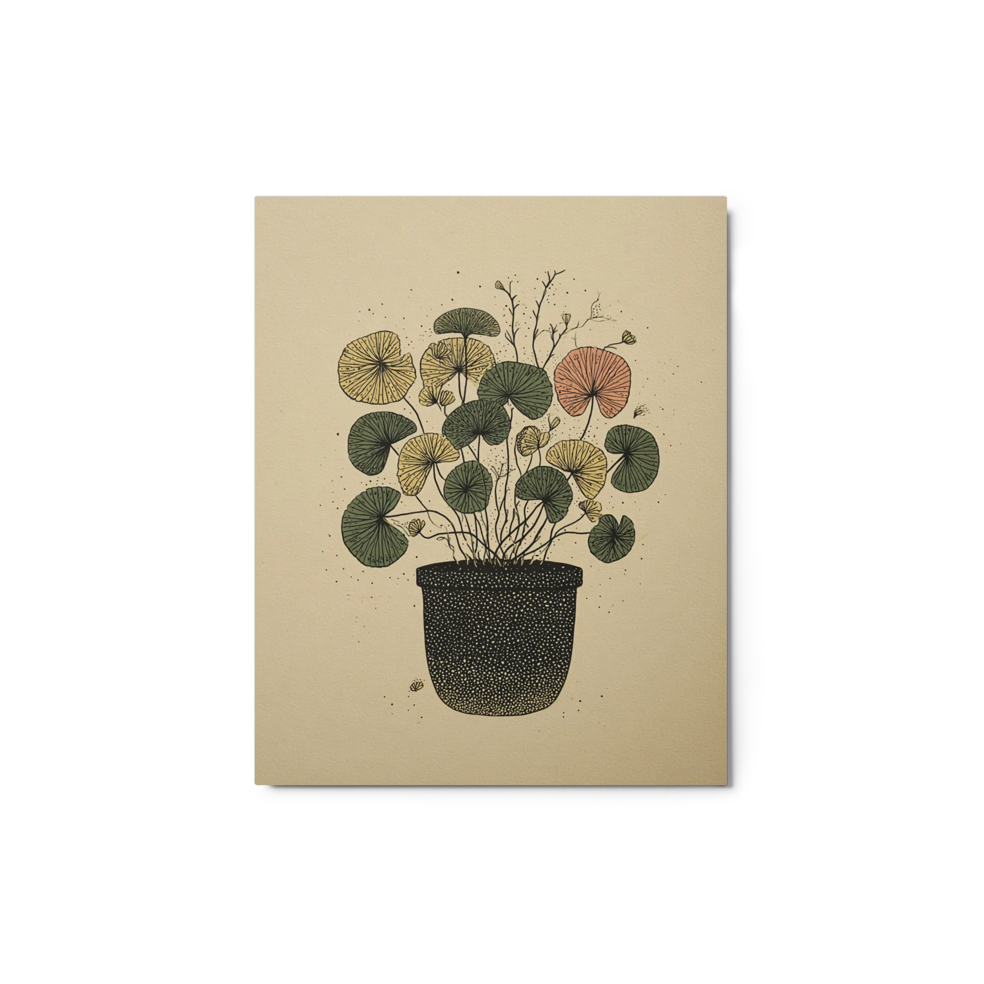 Ginkgo in Clay Pot