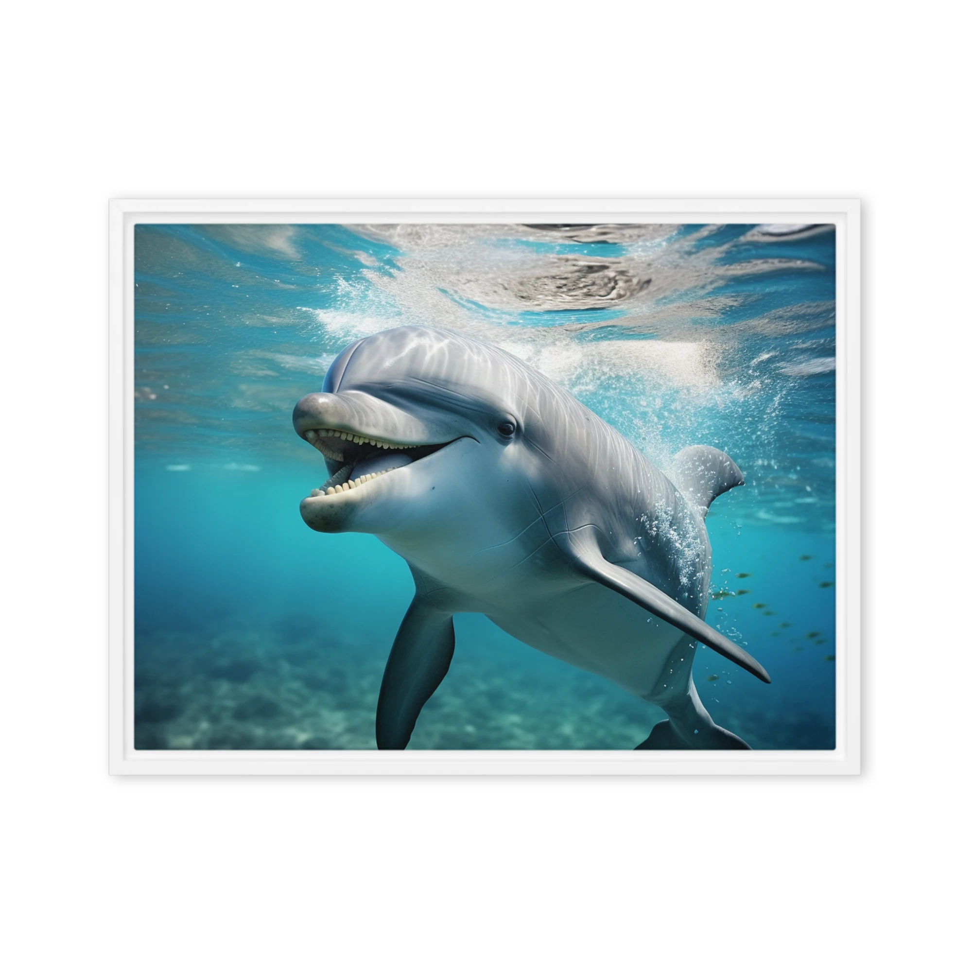 Smiling Dolphin Underwater Photograph