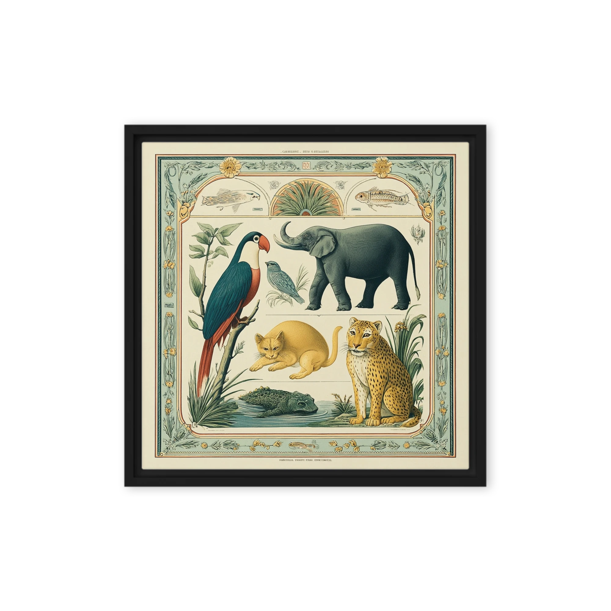 Vintage Zoological Plate