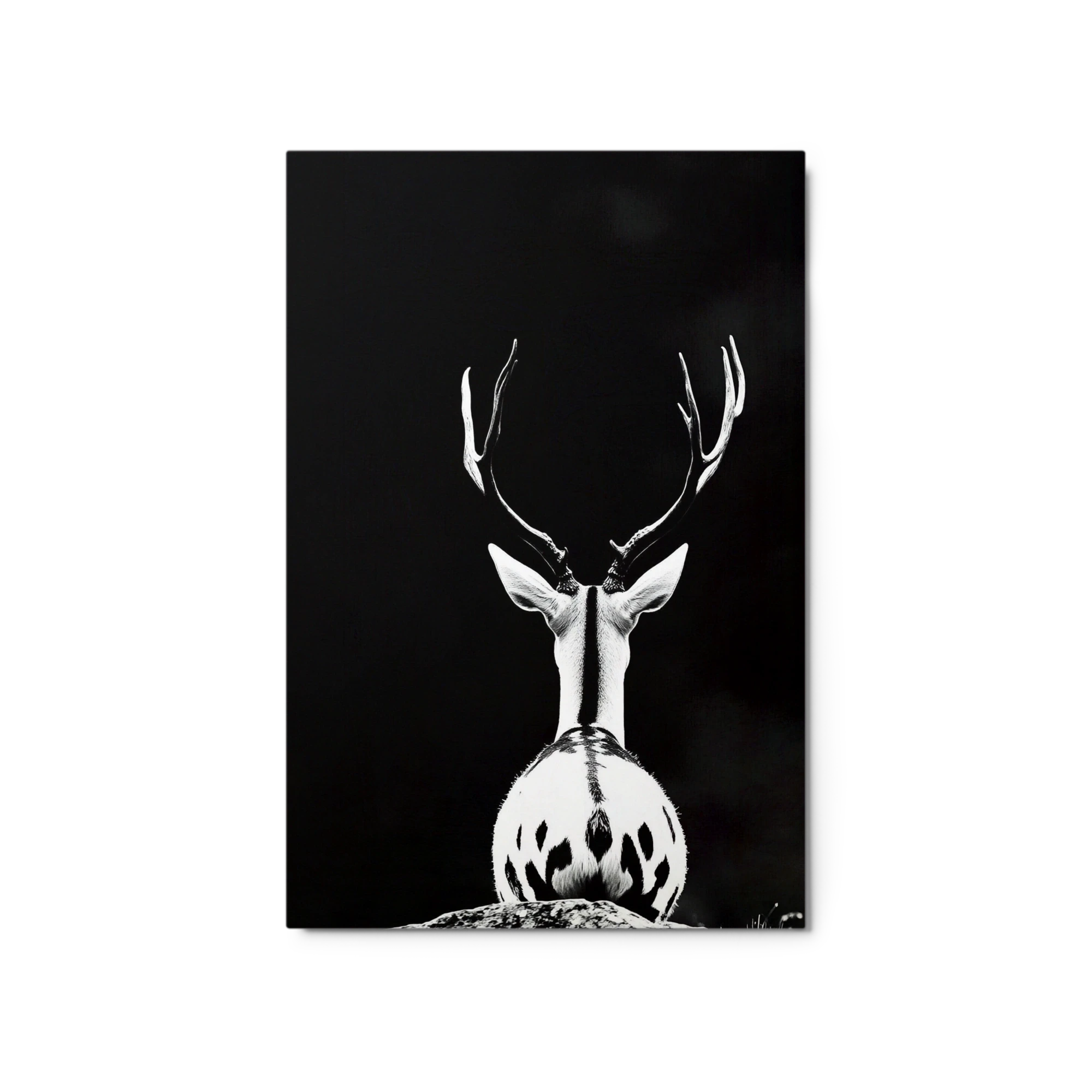 Rear View of a Deer in Black and White